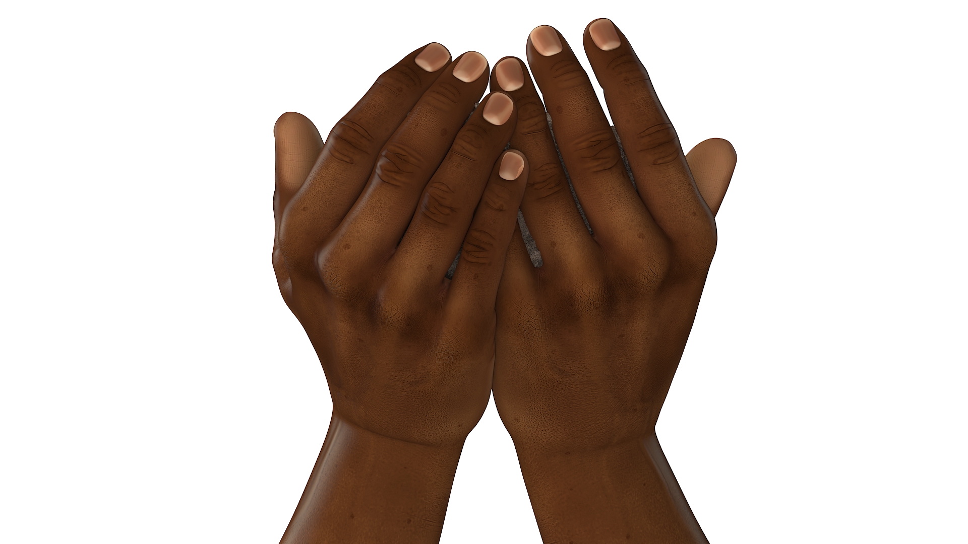 3D Afro American Hands Holding Seedling