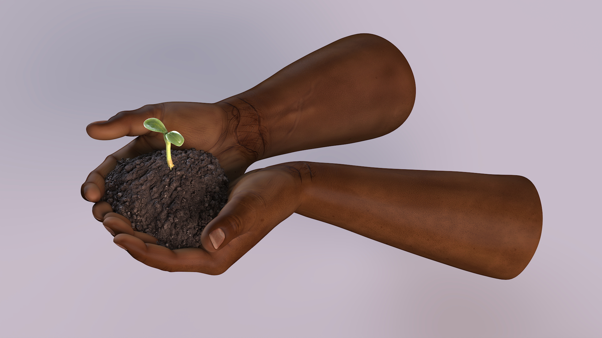 3D Afro American Hands Holding Seedling