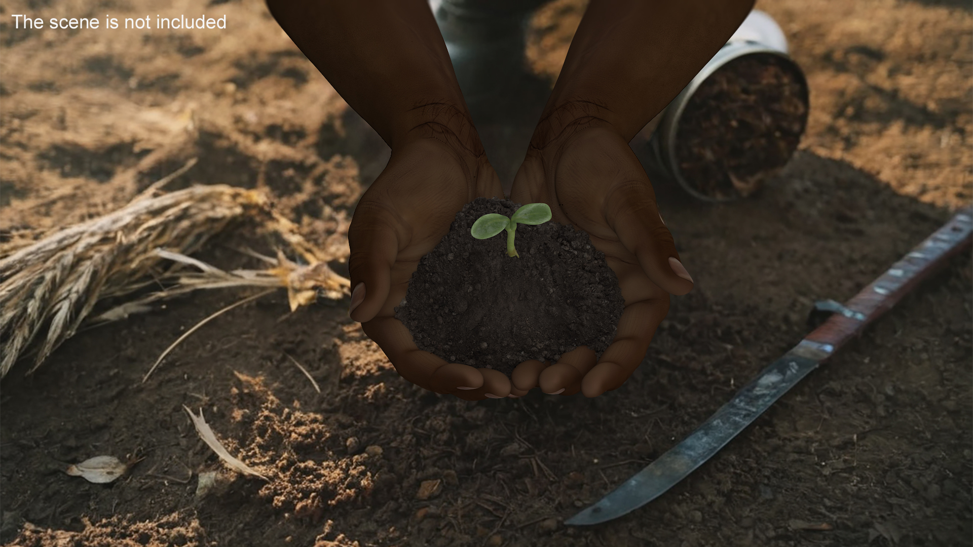 3D Afro American Hands Holding Seedling