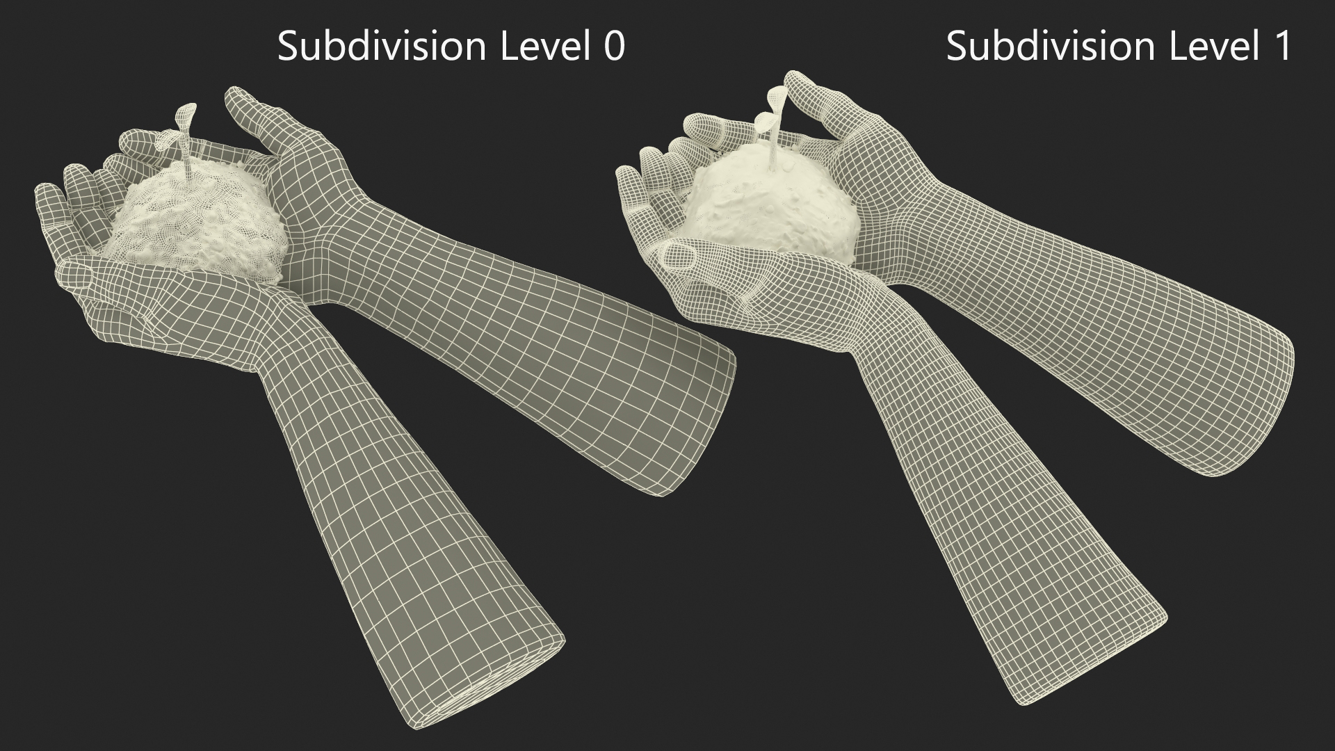 3D Afro American Hands Holding Seedling