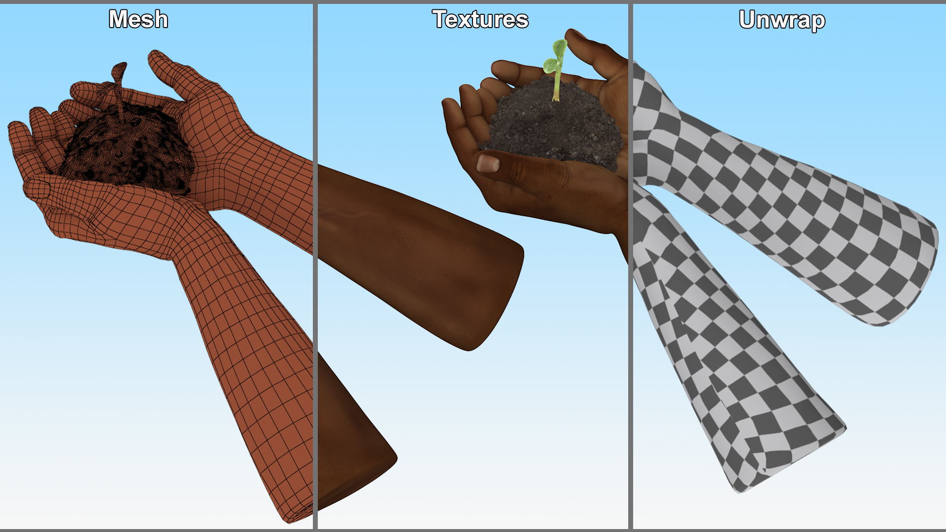 3D Afro American Hands Holding Seedling