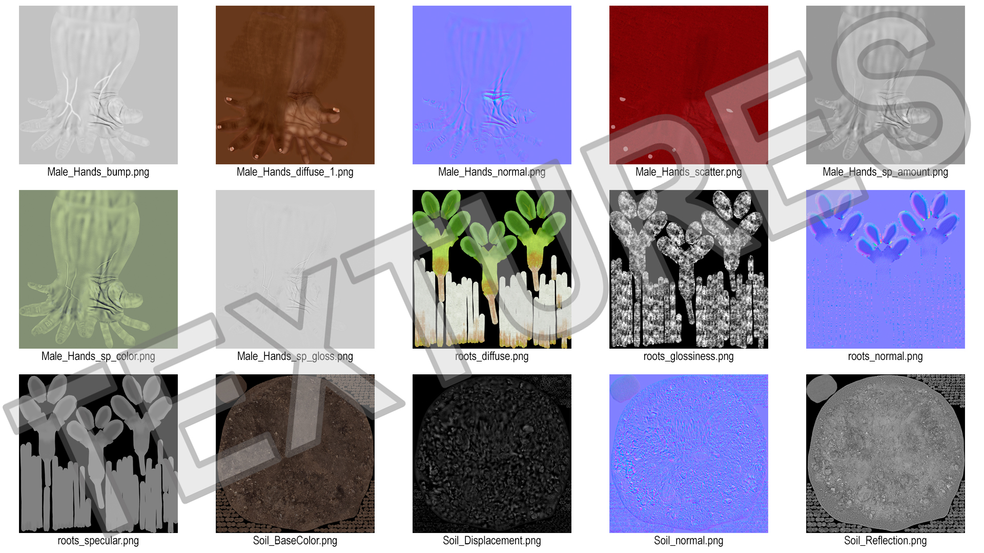 3D Afro American Hands Holding Seedling