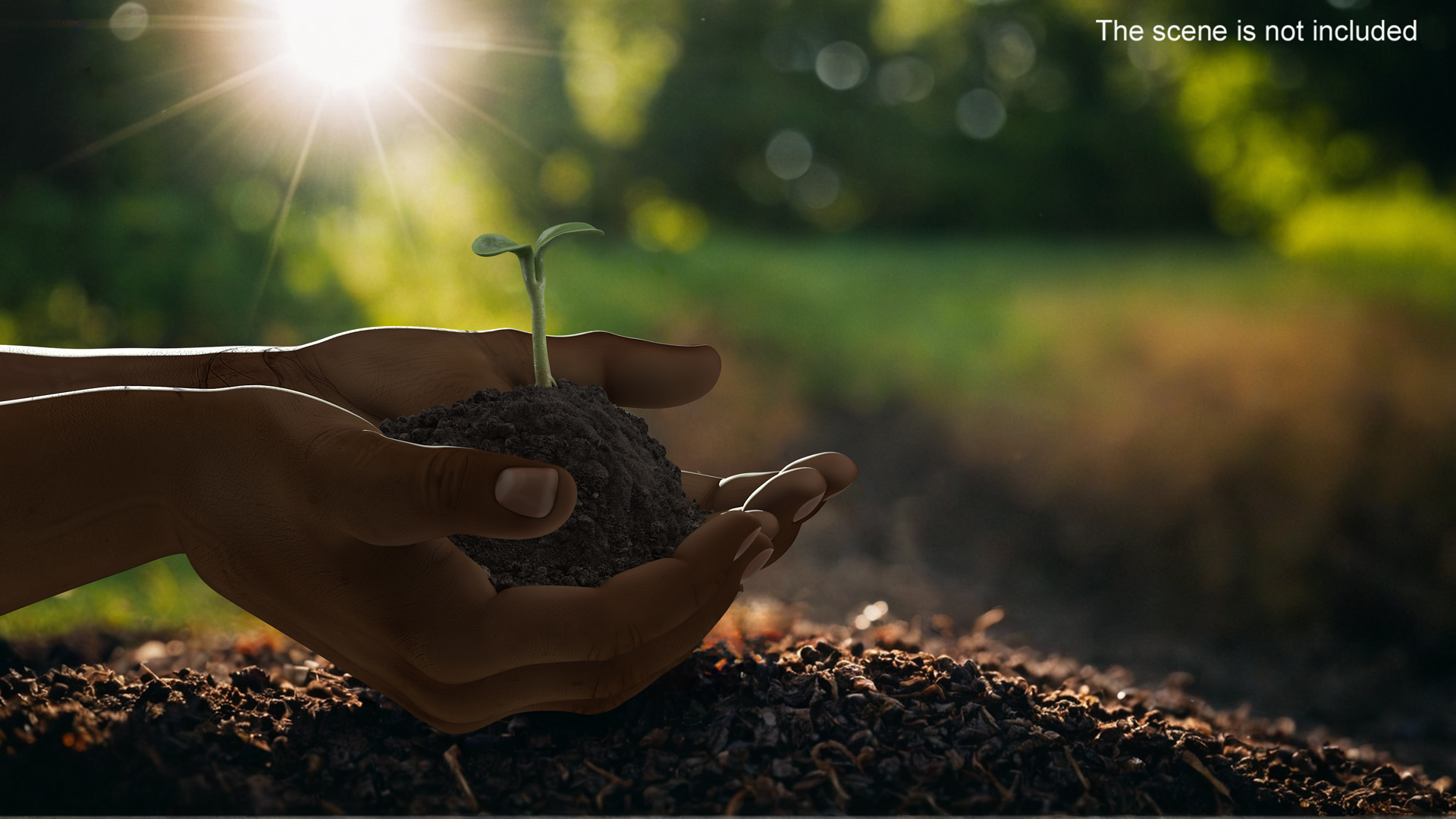 3D Afro American Hands Holding Seedling