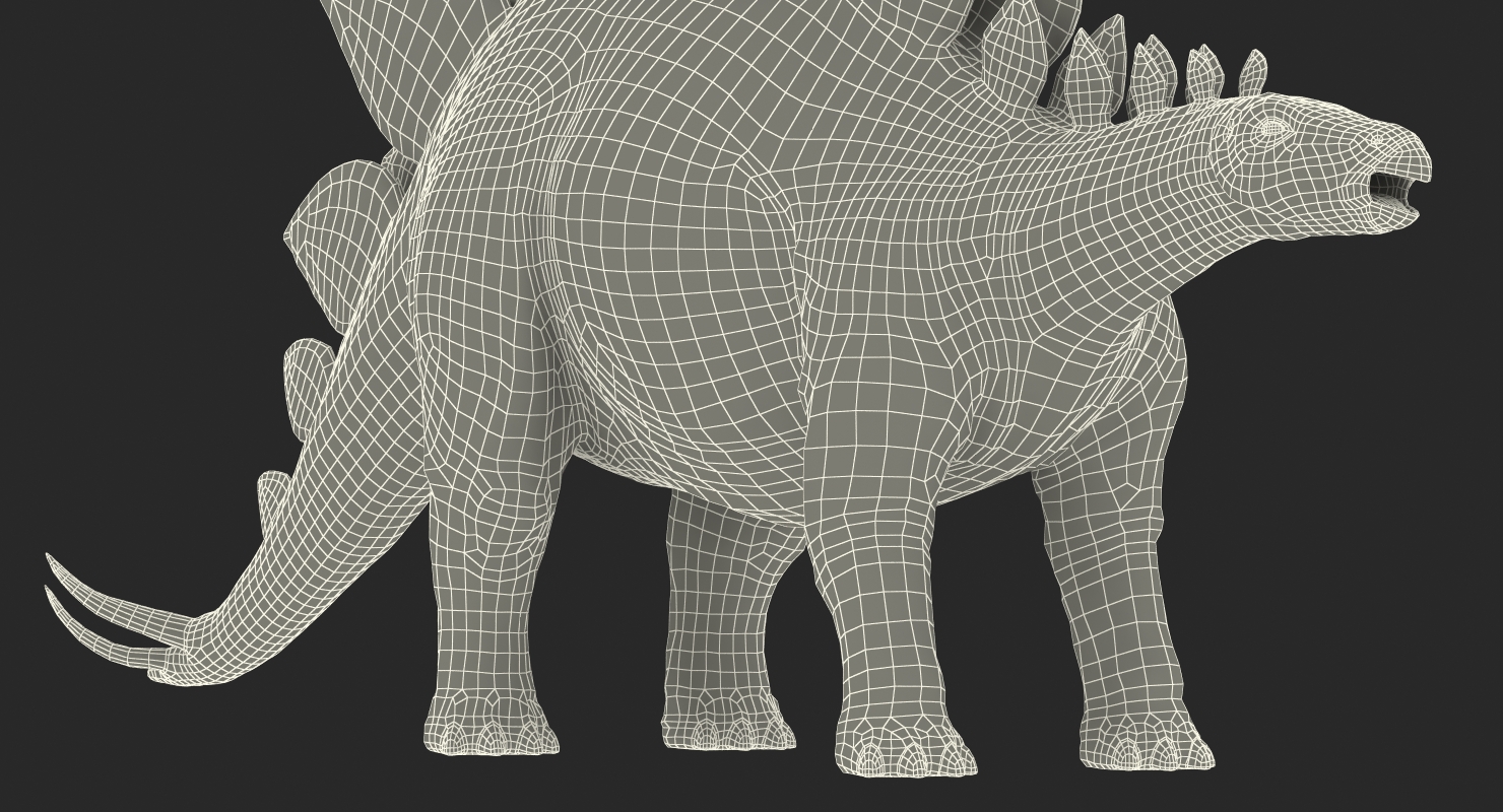 3D Stegosaurus Rigged model