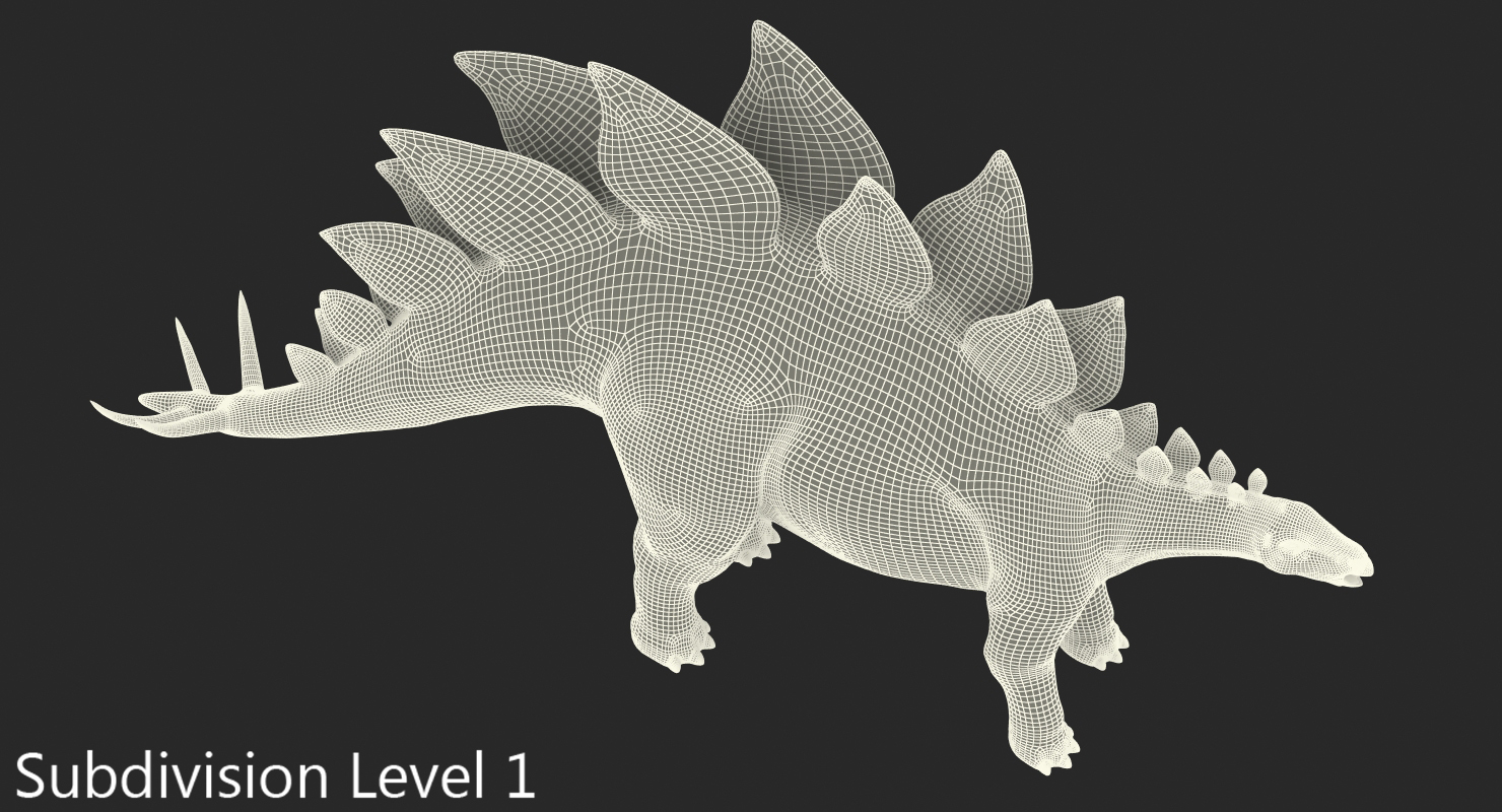 3D Stegosaurus Rigged model