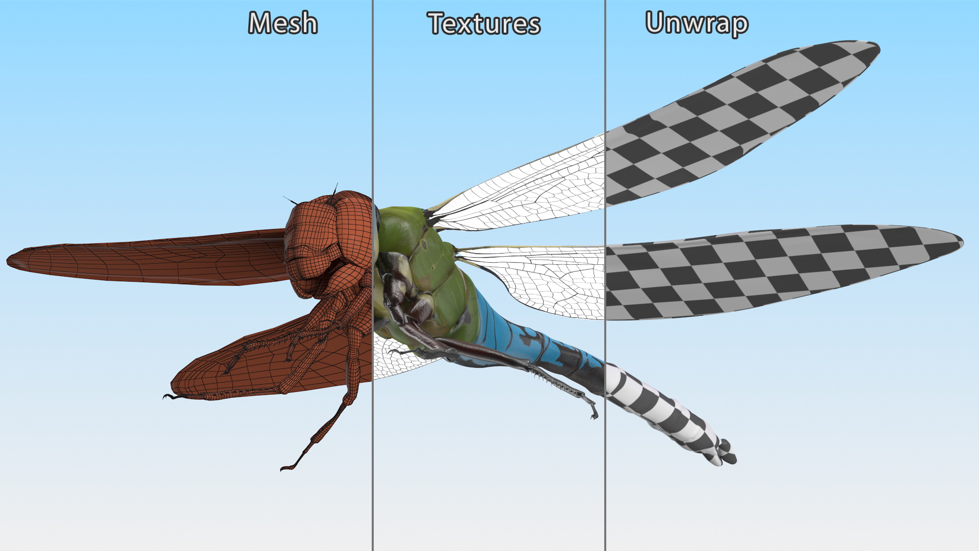 3D model Dragonfly Rigged for Cinema 4D