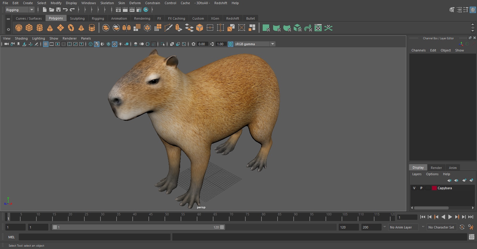 3D model Capybara