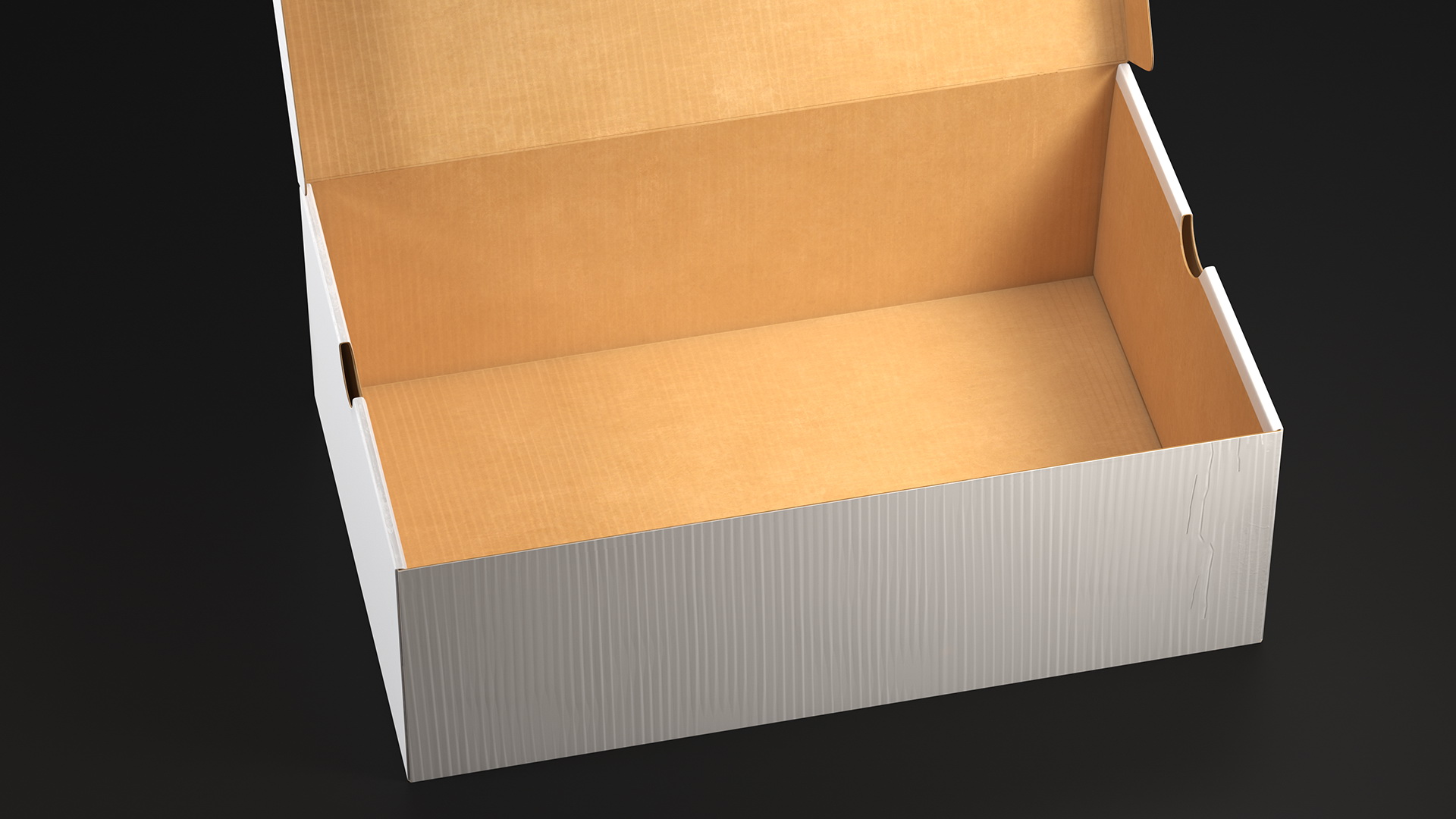 3D Shoe Box Open model