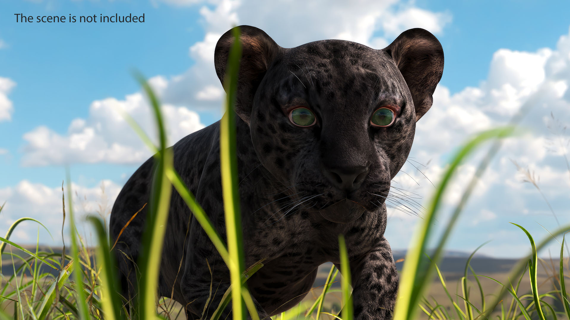 3D Black Leopard Cub Sneaking Pose