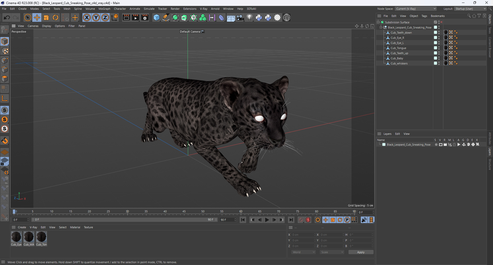 3D Black Leopard Cub Sneaking Pose