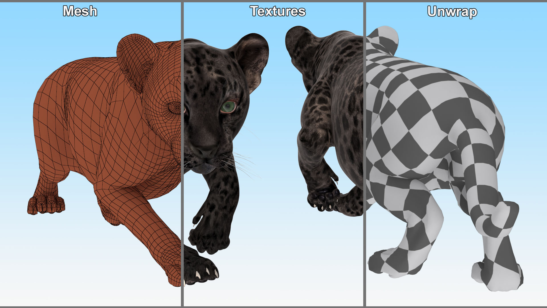 3D Black Leopard Cub Sneaking Pose