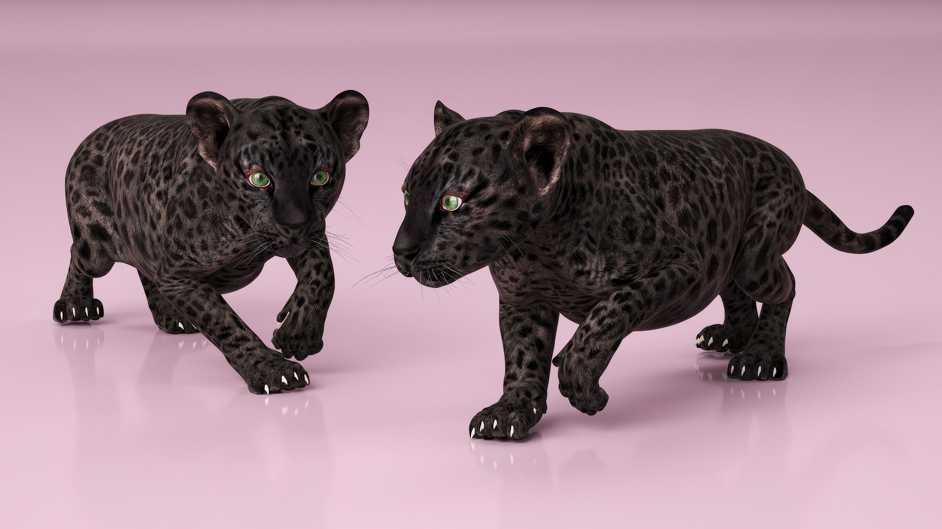 3D Black Leopard Cub Sneaking Pose