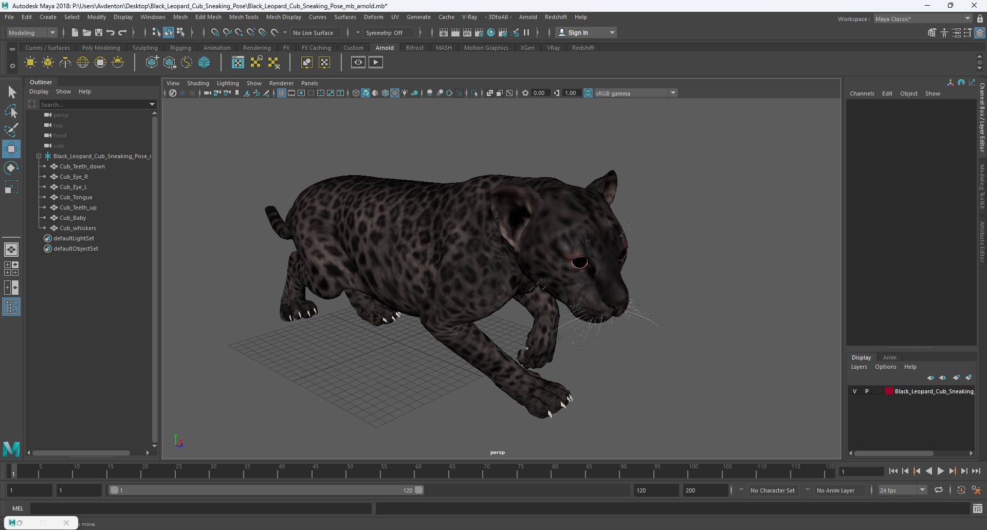 3D Black Leopard Cub Sneaking Pose