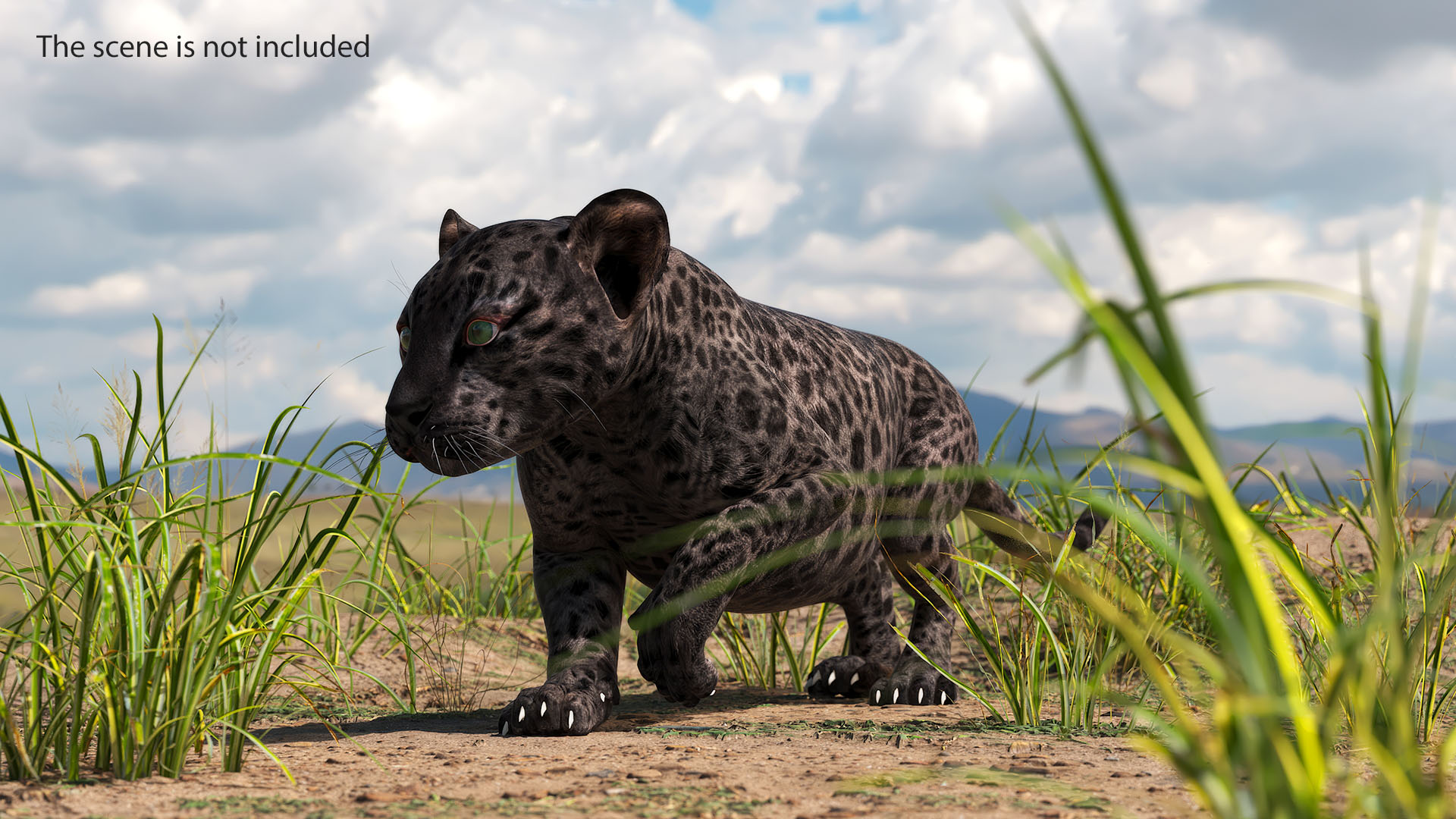 3D Black Leopard Cub Sneaking Pose