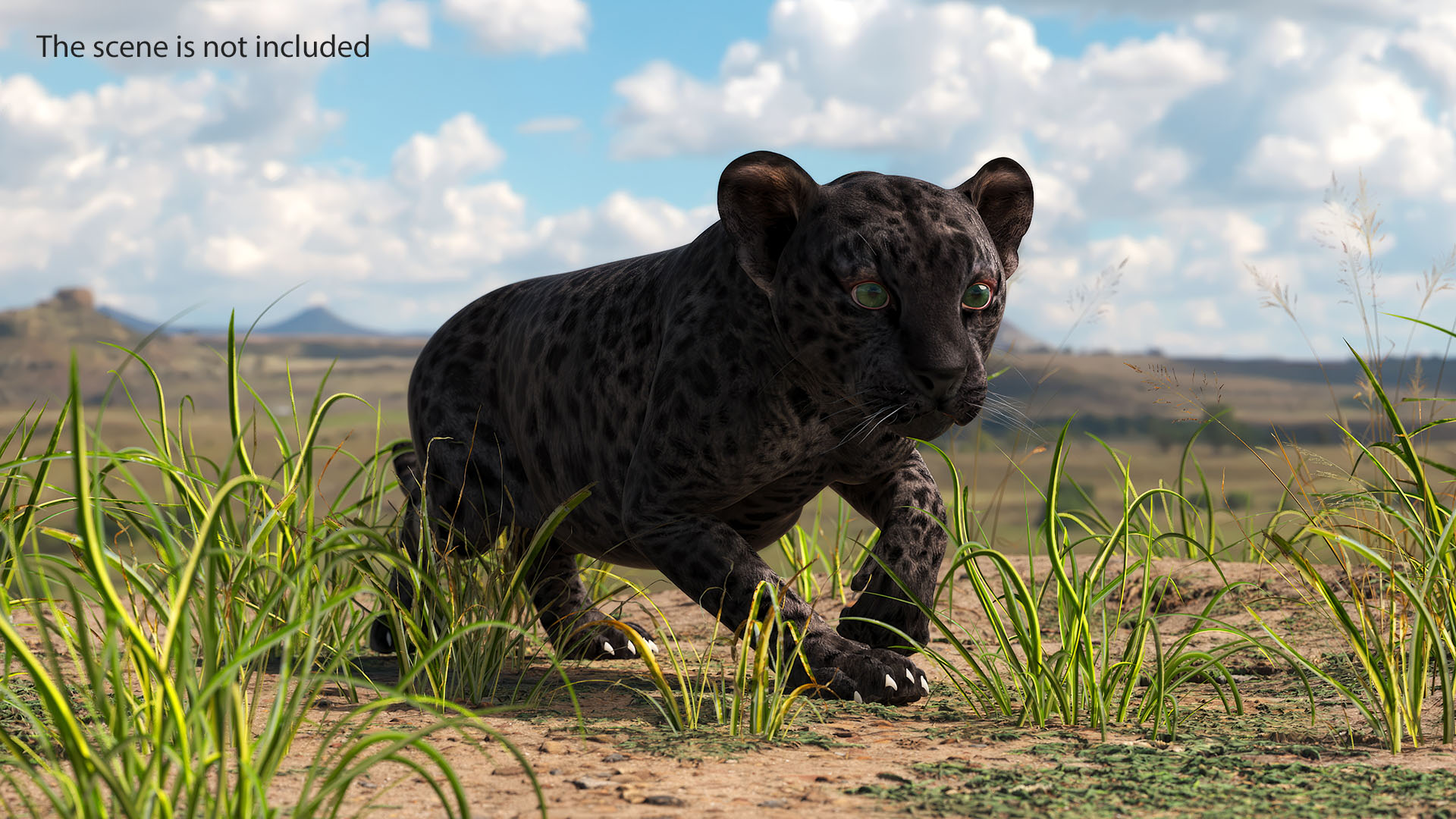 3D Black Leopard Cub Sneaking Pose