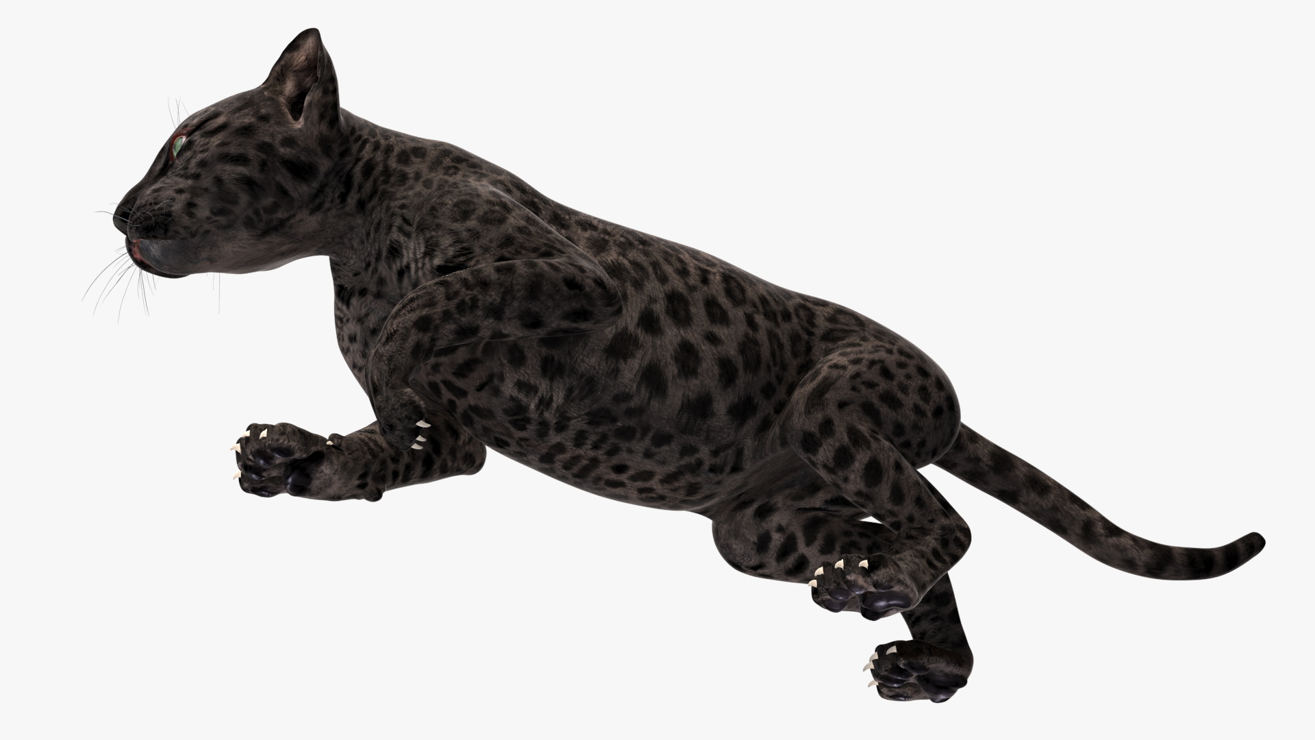 3D Black Leopard Cub Sneaking Pose