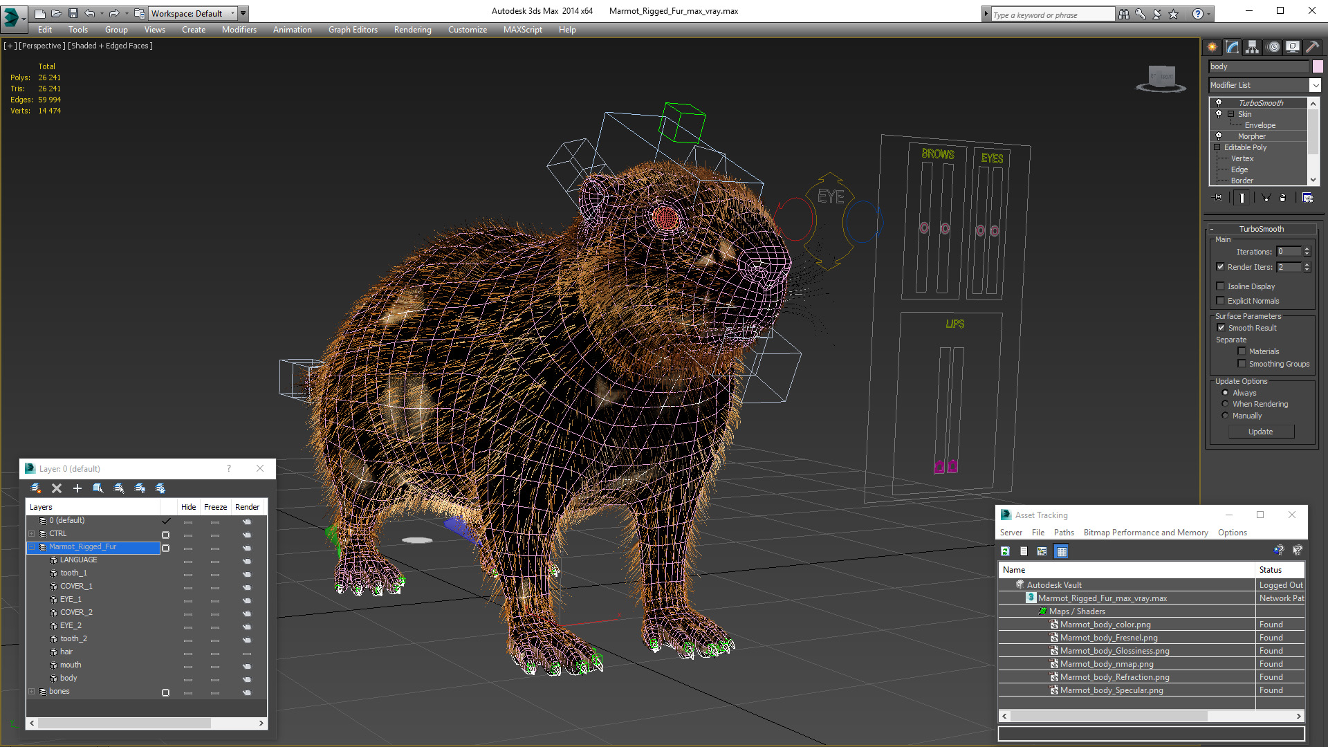 Marmot Rigged Fur 3D