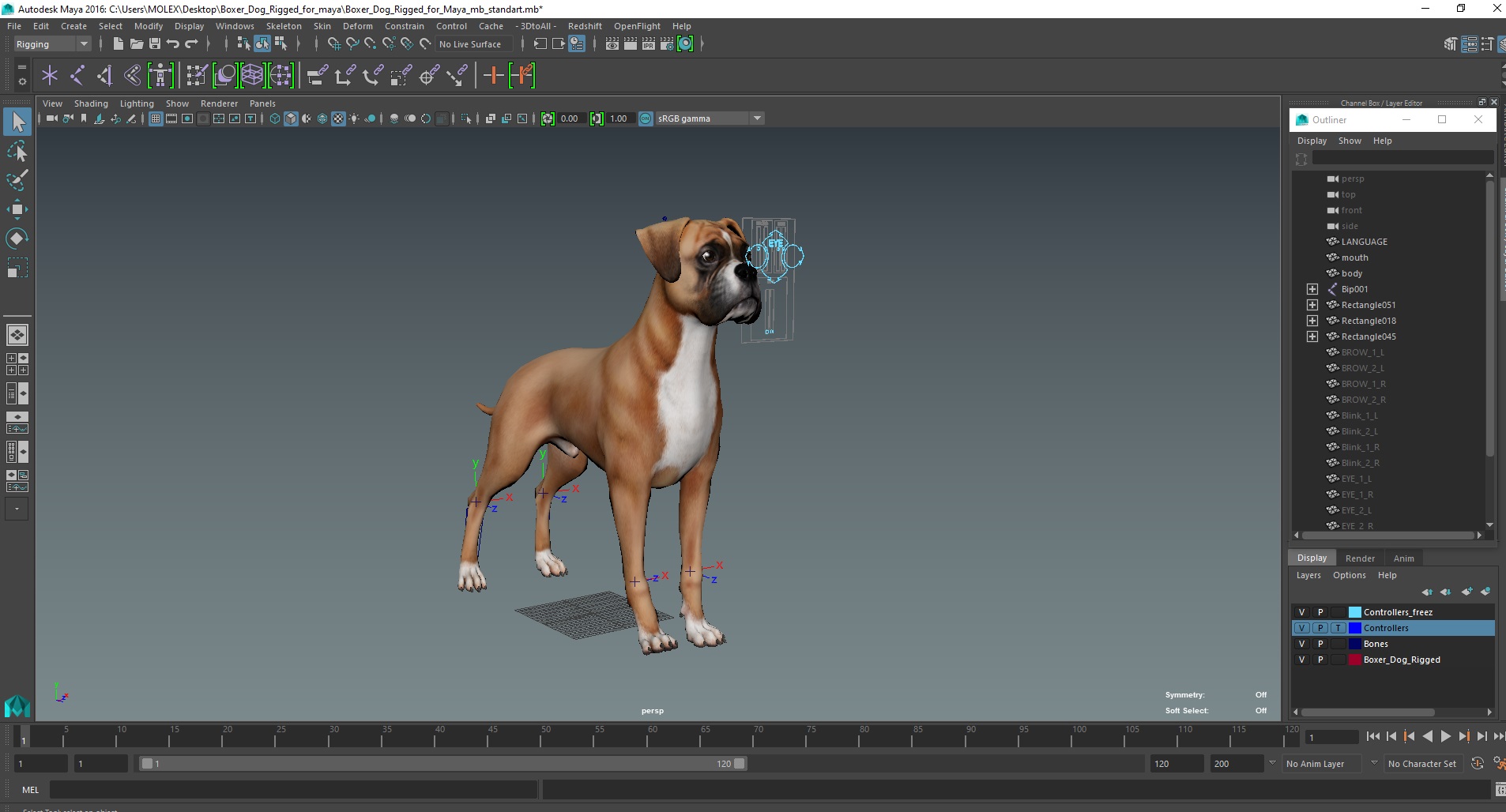 3D model Boxer Dog Rigged for Maya