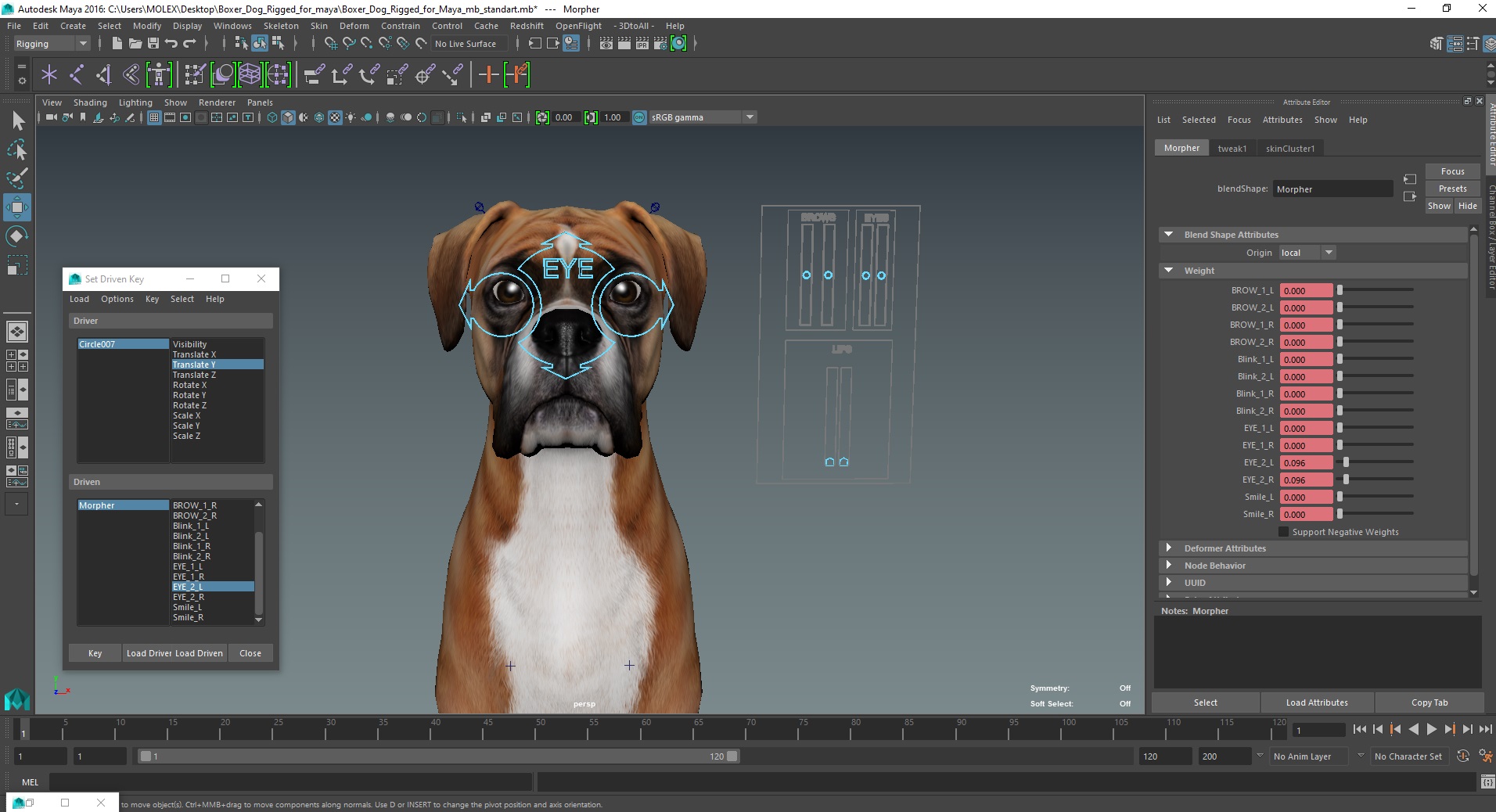 3D model Boxer Dog Rigged for Maya