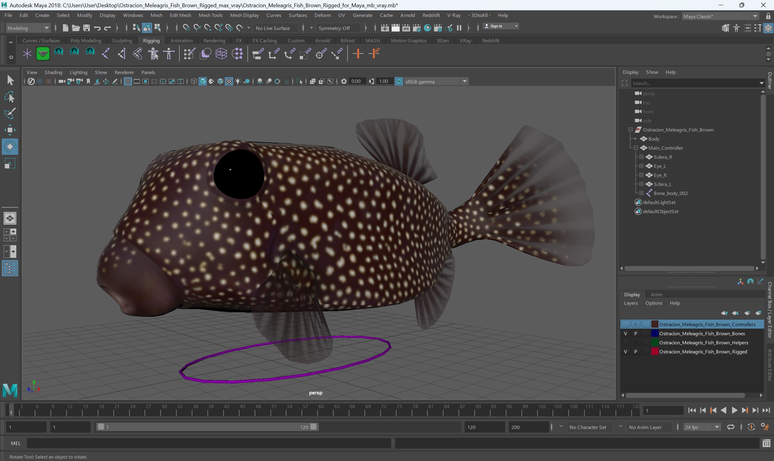 3D Ostracion Meleagris Fish Brown Rigged for Maya