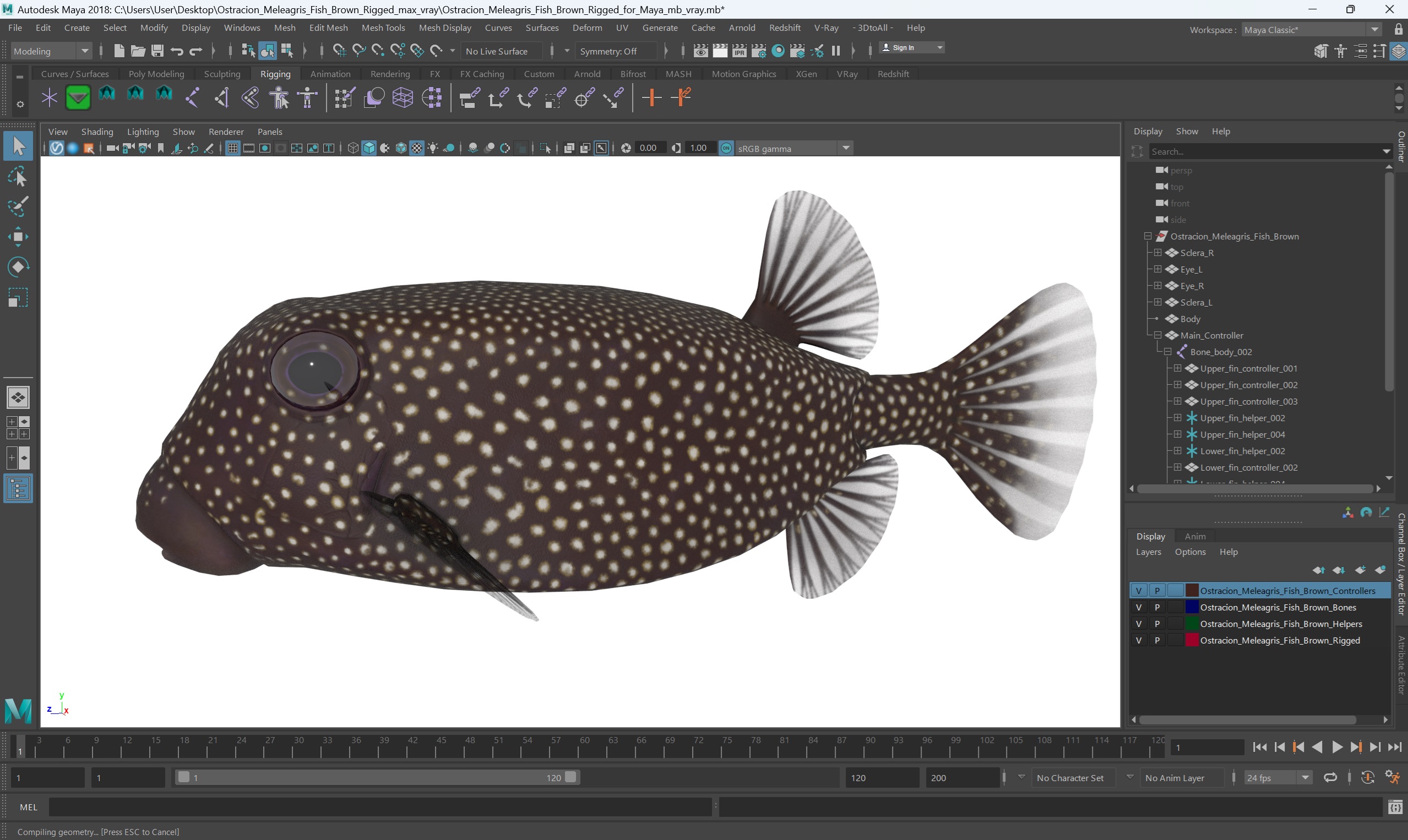 3D Ostracion Meleagris Fish Brown Rigged for Maya