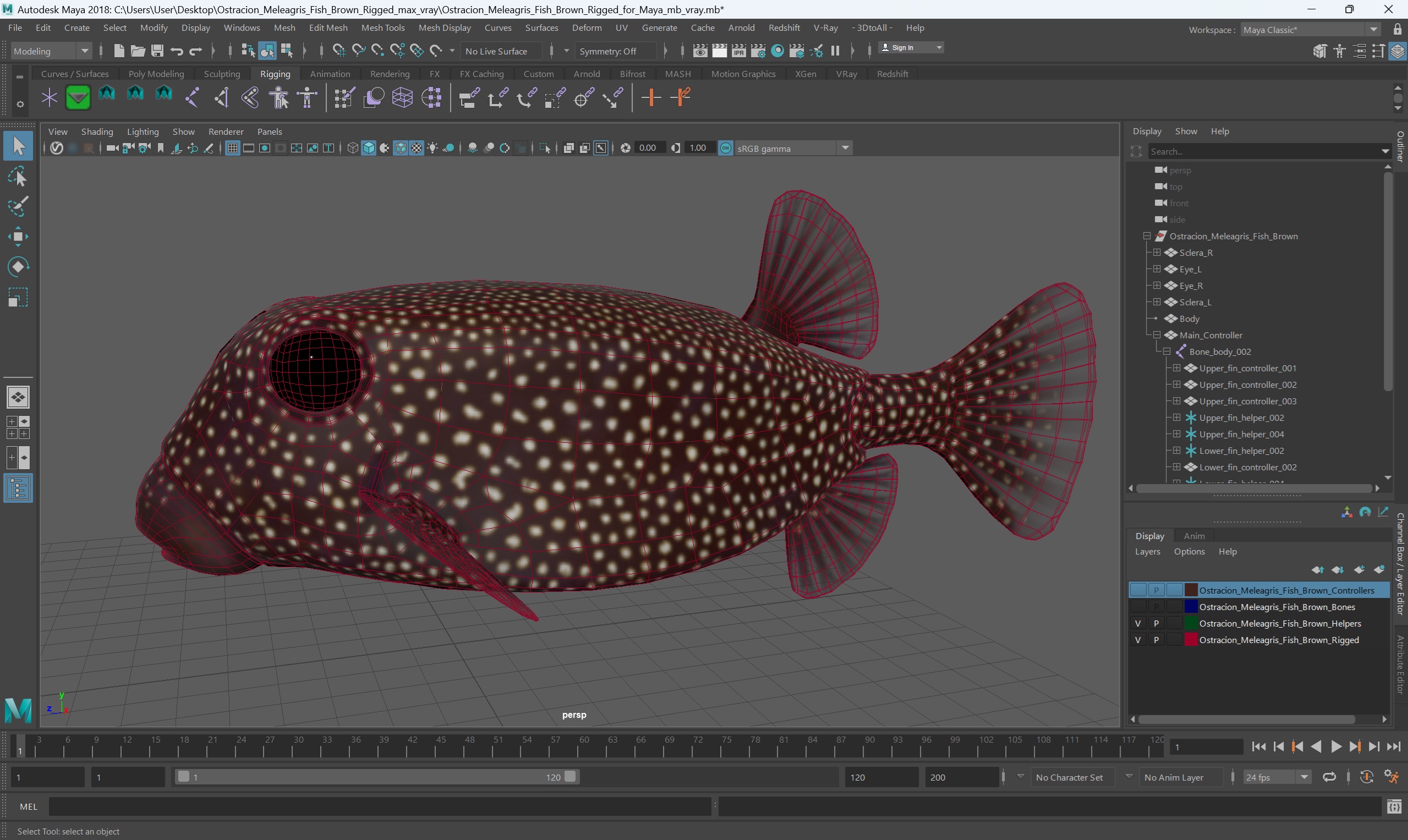 3D Ostracion Meleagris Fish Brown Rigged for Maya