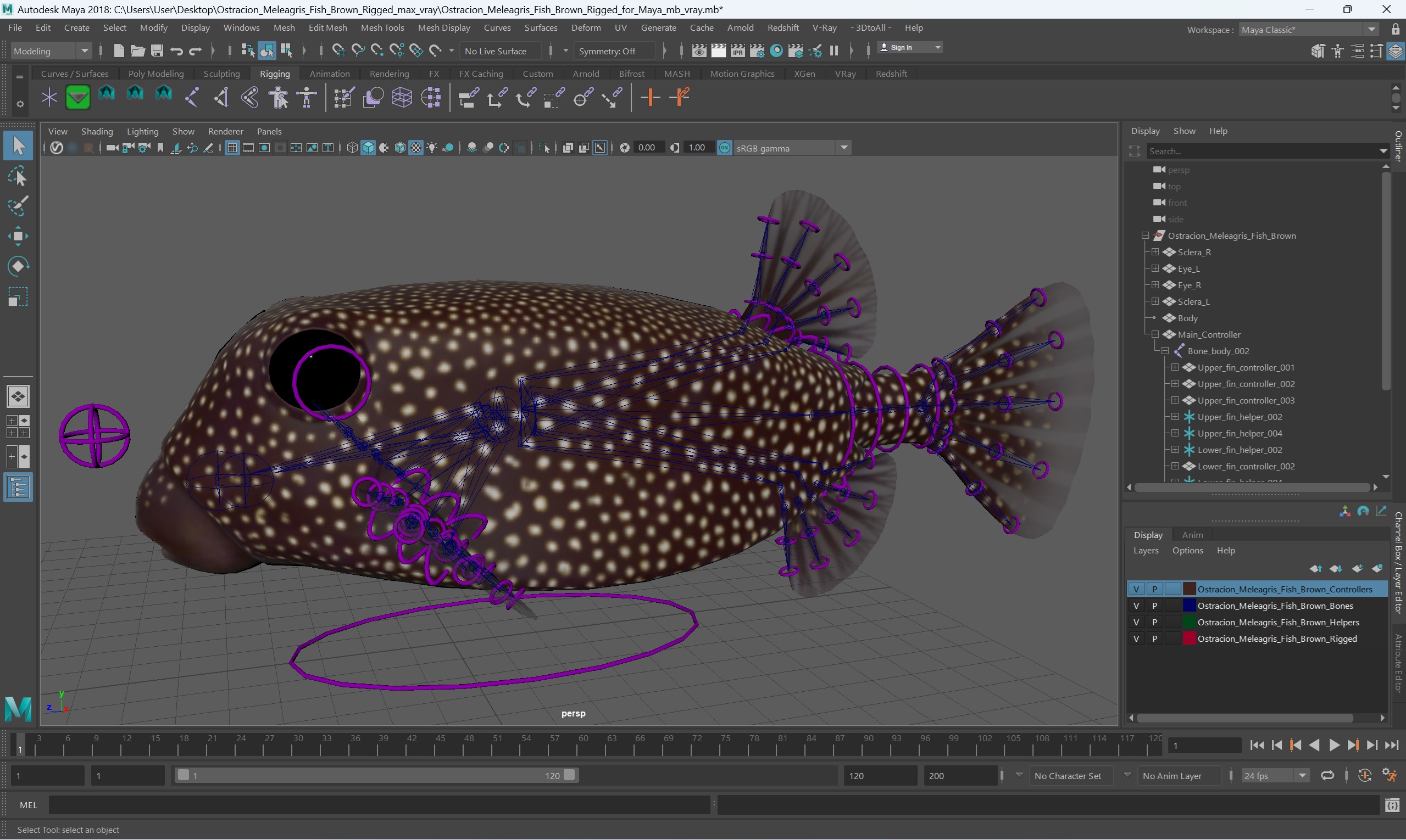 3D Ostracion Meleagris Fish Brown Rigged for Maya