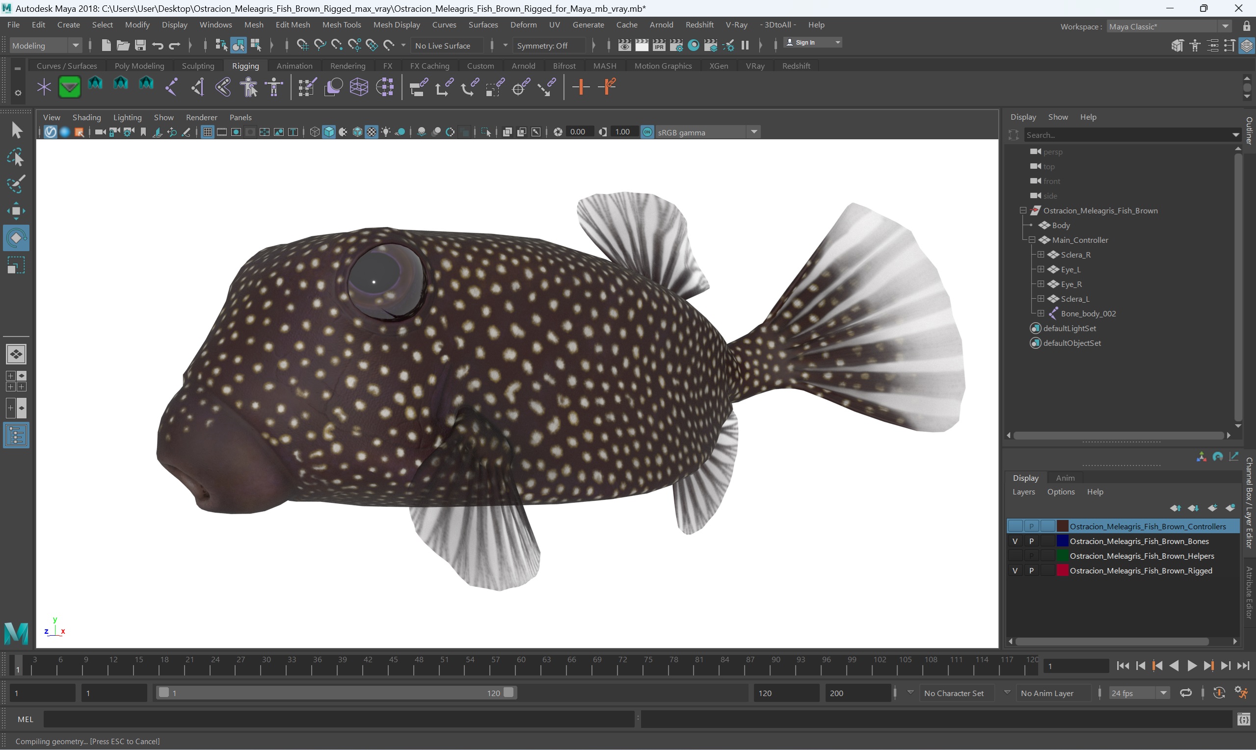 3D Ostracion Meleagris Fish Brown Rigged for Maya