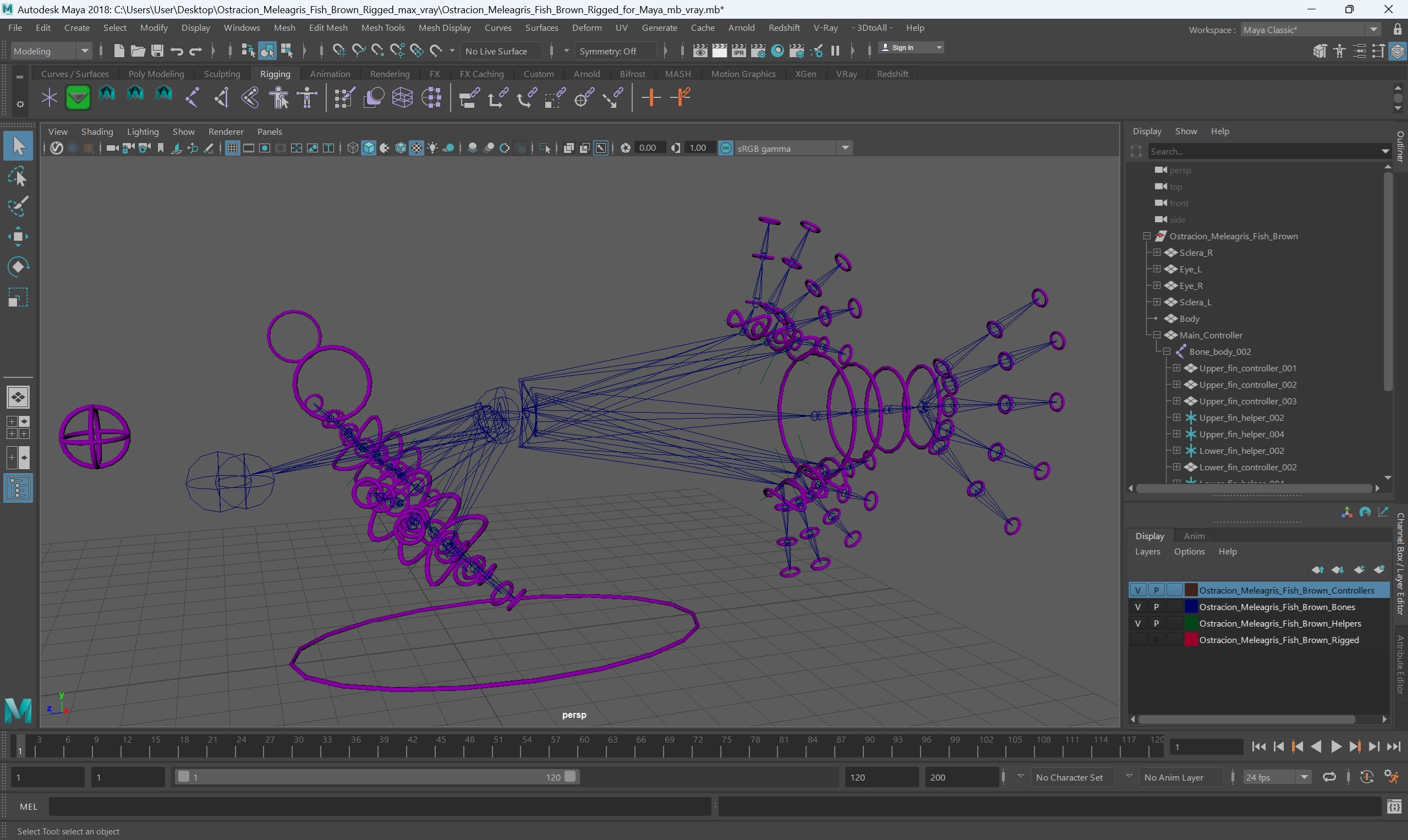 3D Ostracion Meleagris Fish Brown Rigged for Maya