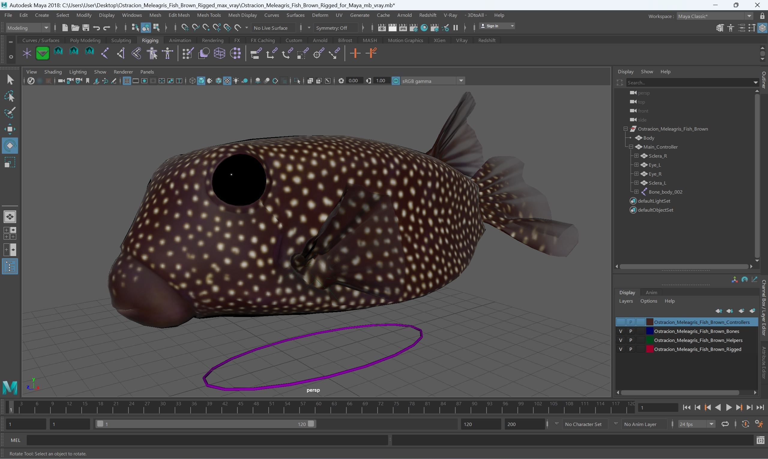 3D Ostracion Meleagris Fish Brown Rigged for Maya