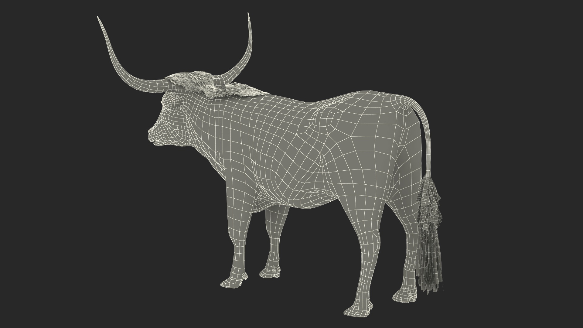 Texas Longhorn Mottled Brown Rigged for Cinema 4D 3D model