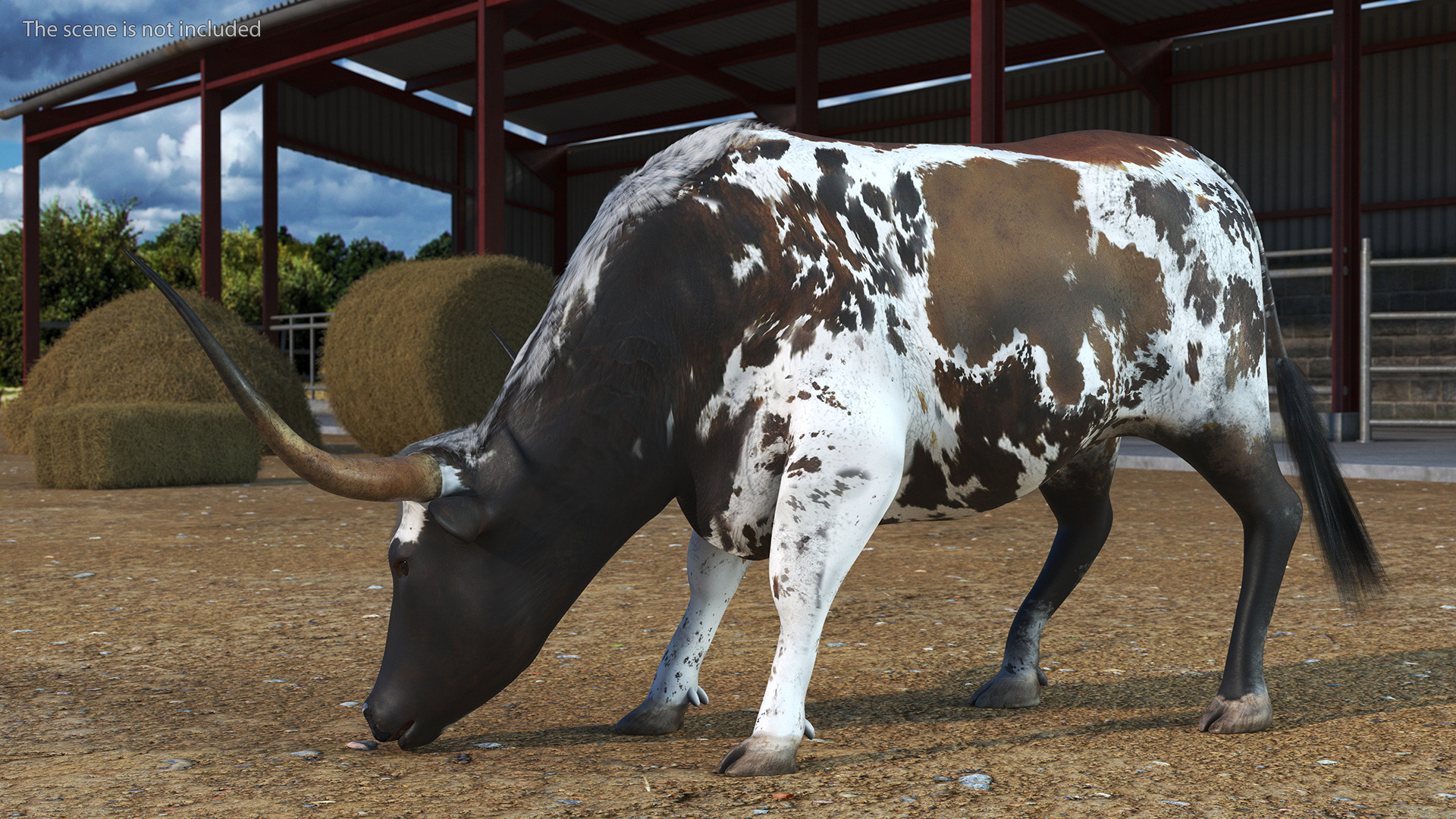 Texas Longhorn Mottled Brown Rigged for Cinema 4D 3D model