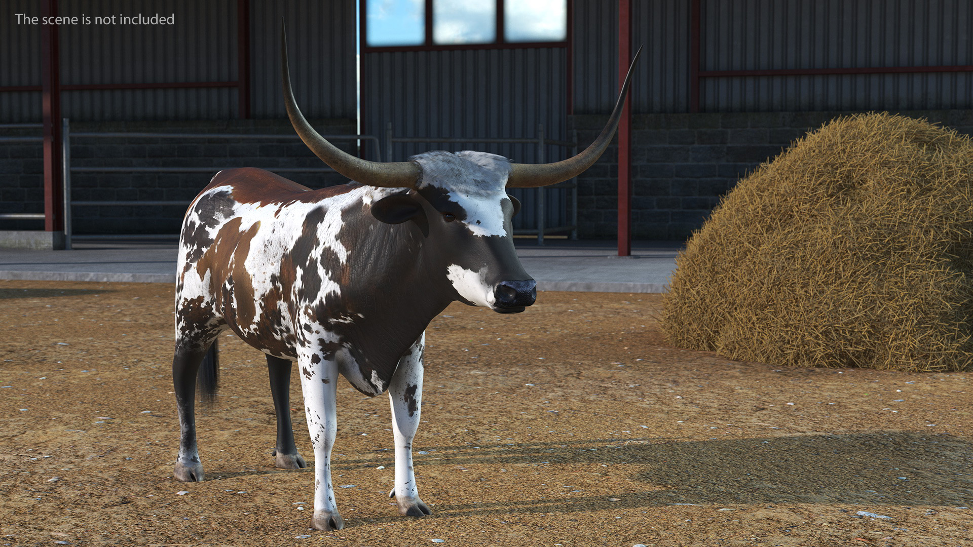 Texas Longhorn Mottled Brown Rigged for Cinema 4D 3D model