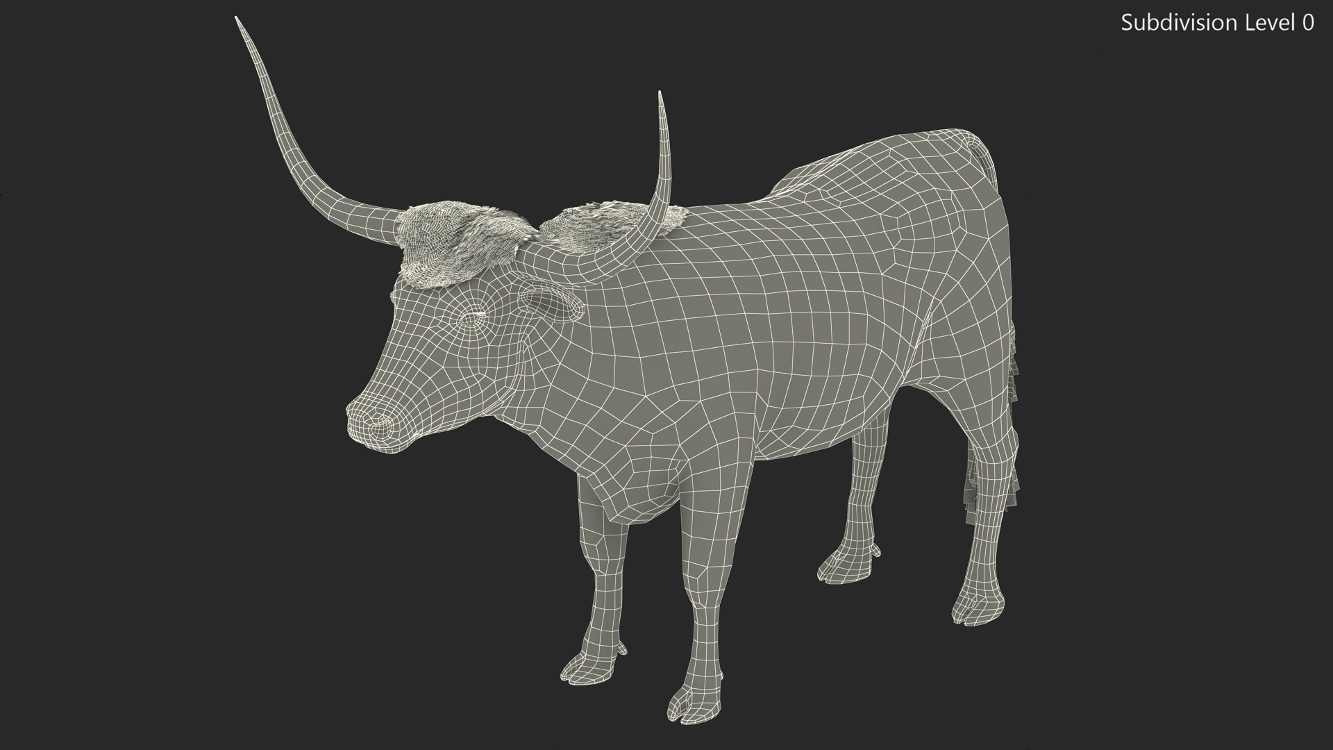 Texas Longhorn Mottled Brown Rigged for Cinema 4D 3D model