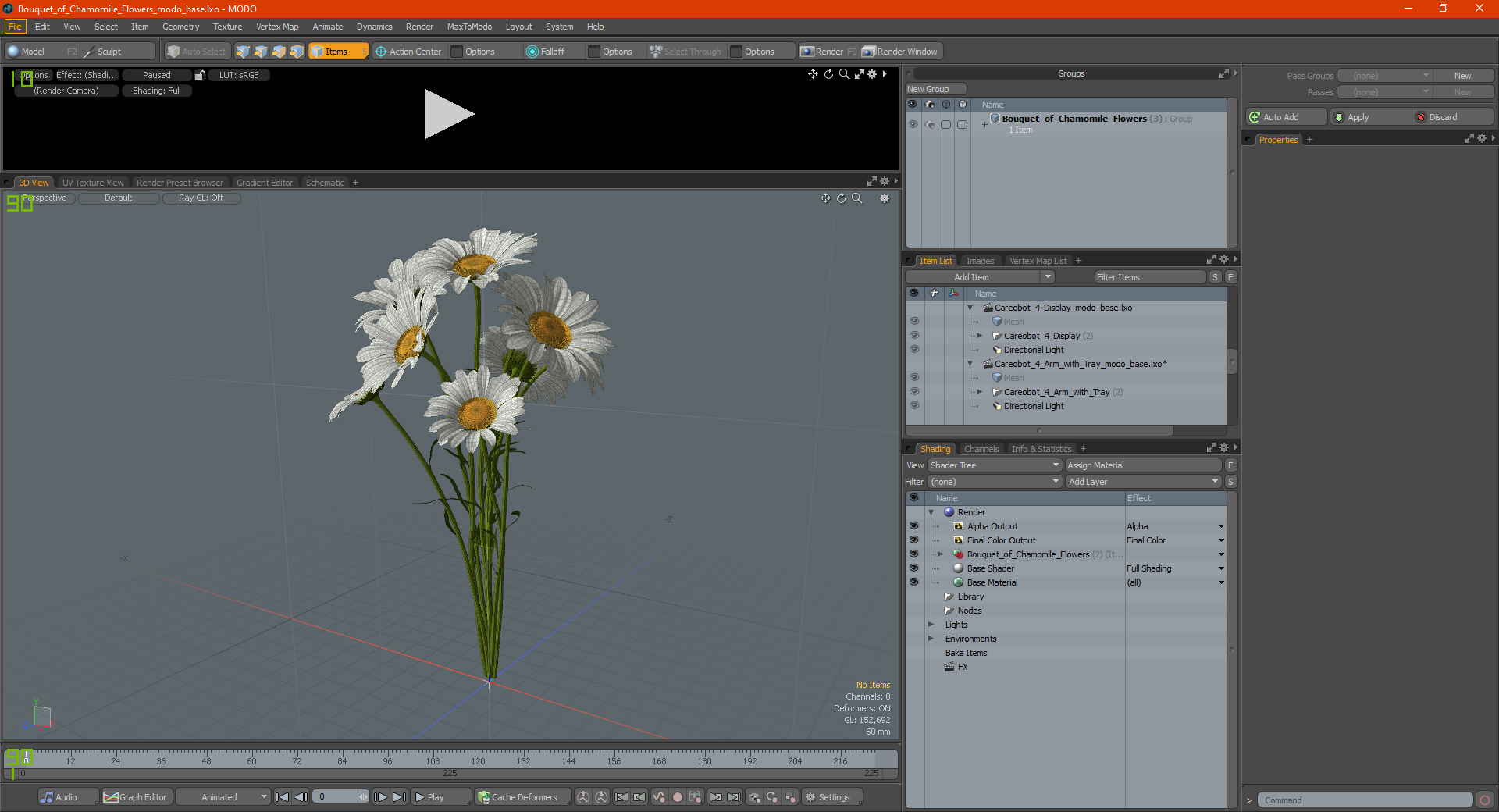 3D Bouquet of Chamomile Flowers model