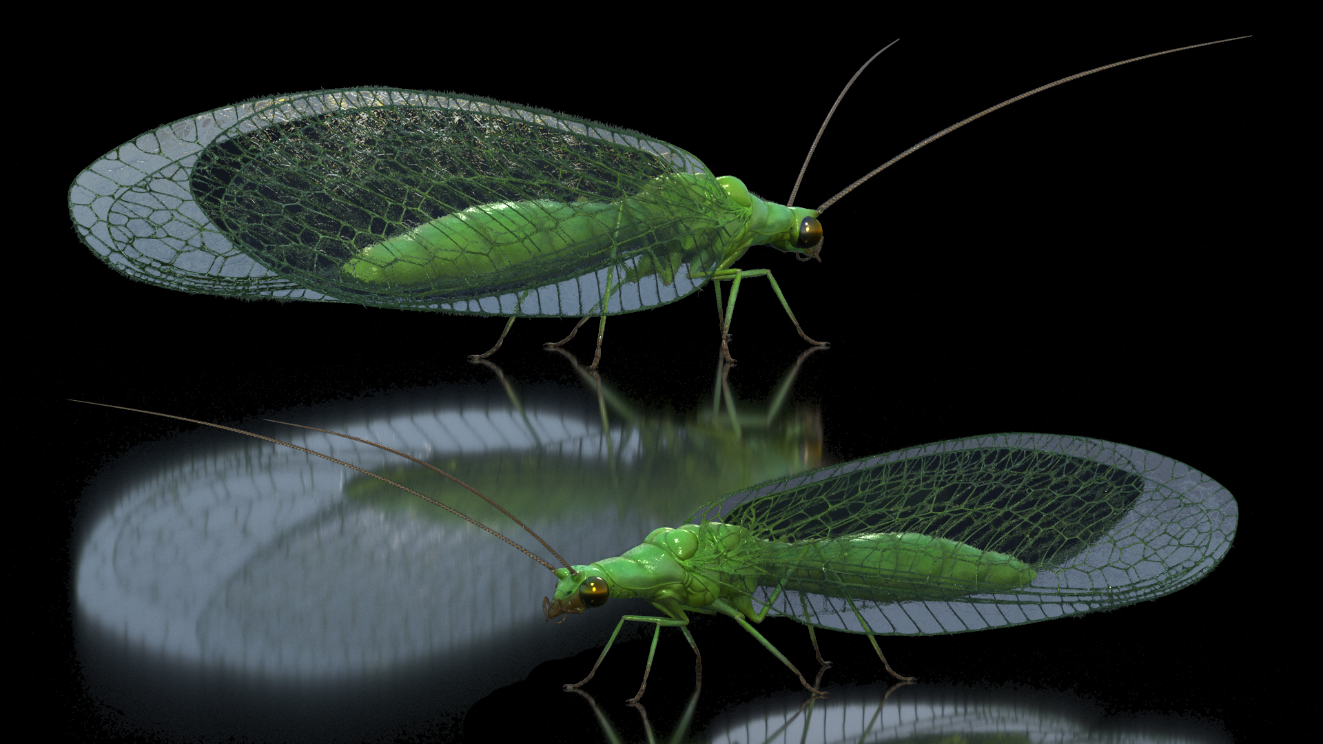 3D model Insect Green Lacewing Fur