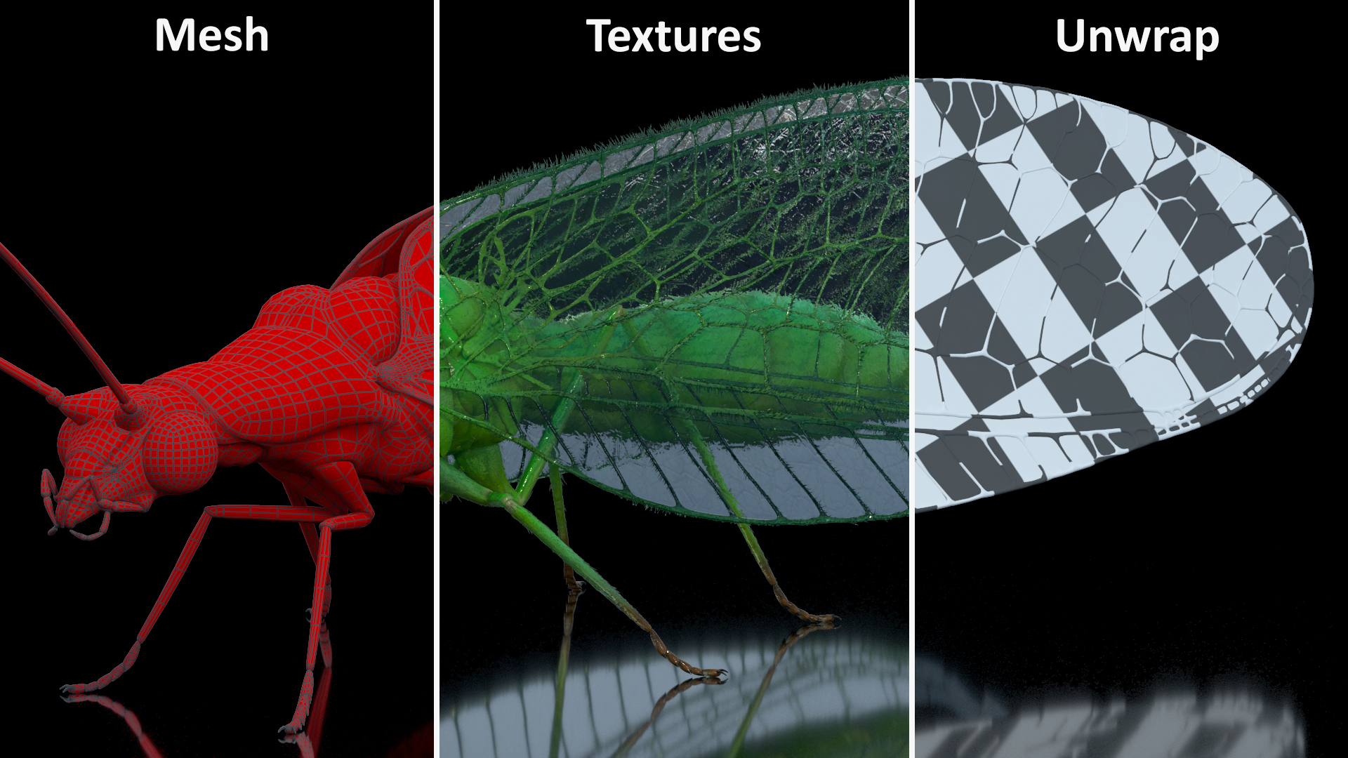 3D model Insect Green Lacewing Fur