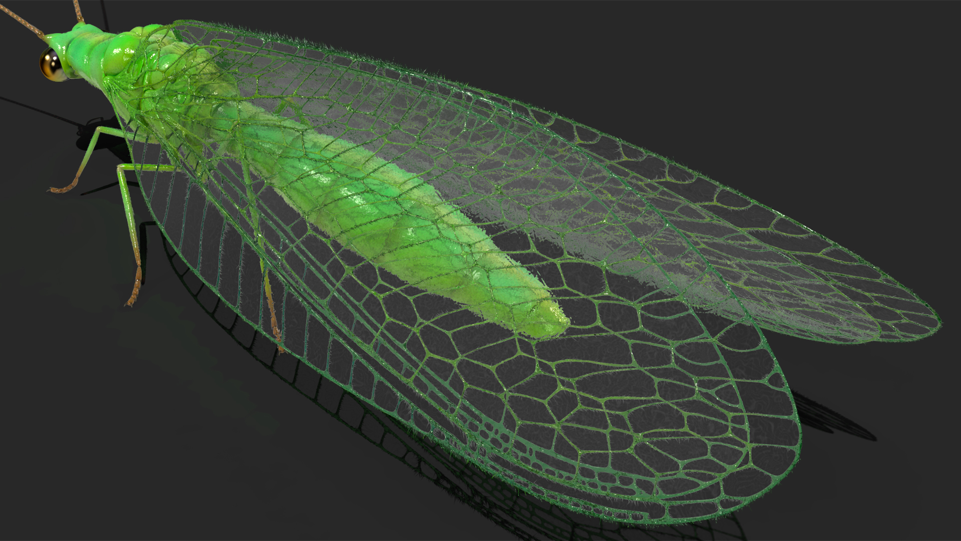 3D model Insect Green Lacewing Fur