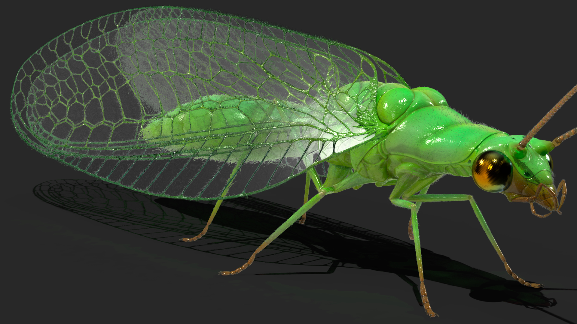 3D model Insect Green Lacewing Fur