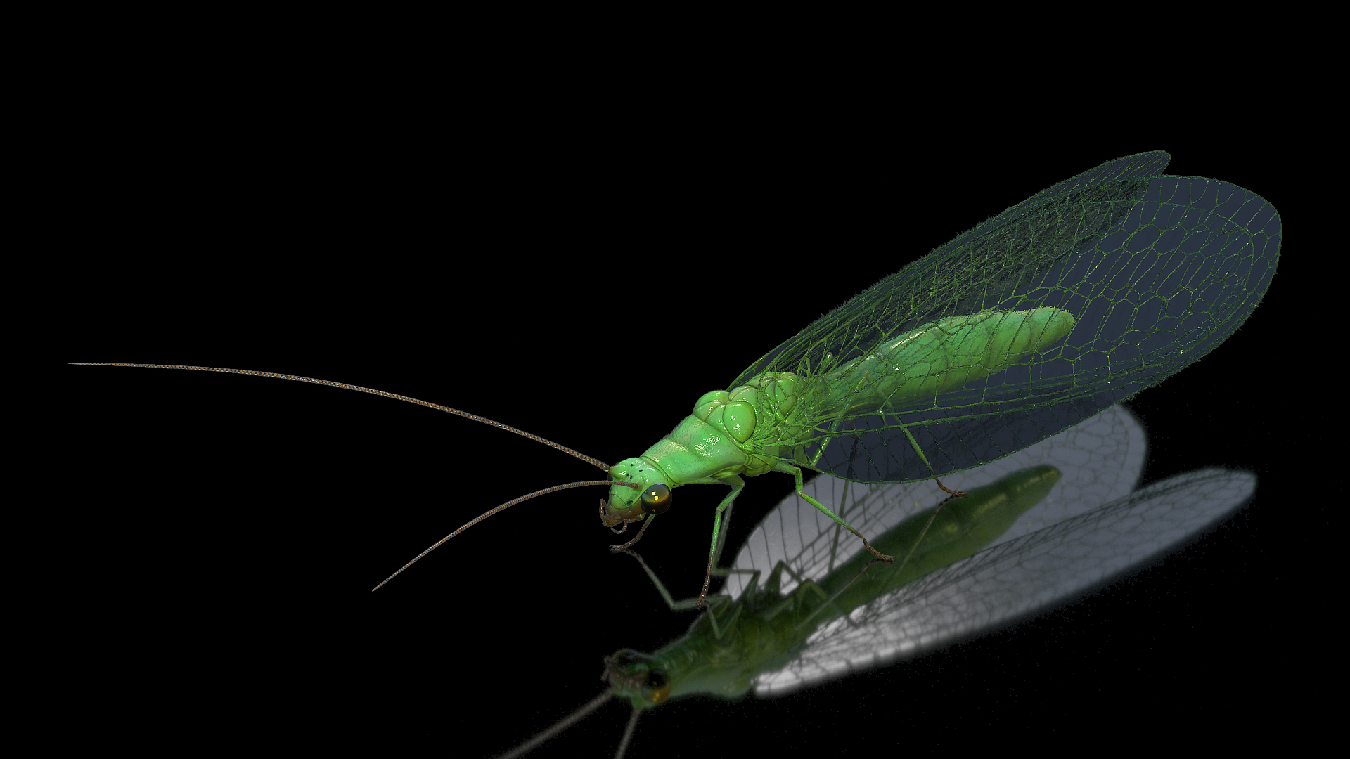 3D model Insect Green Lacewing Fur