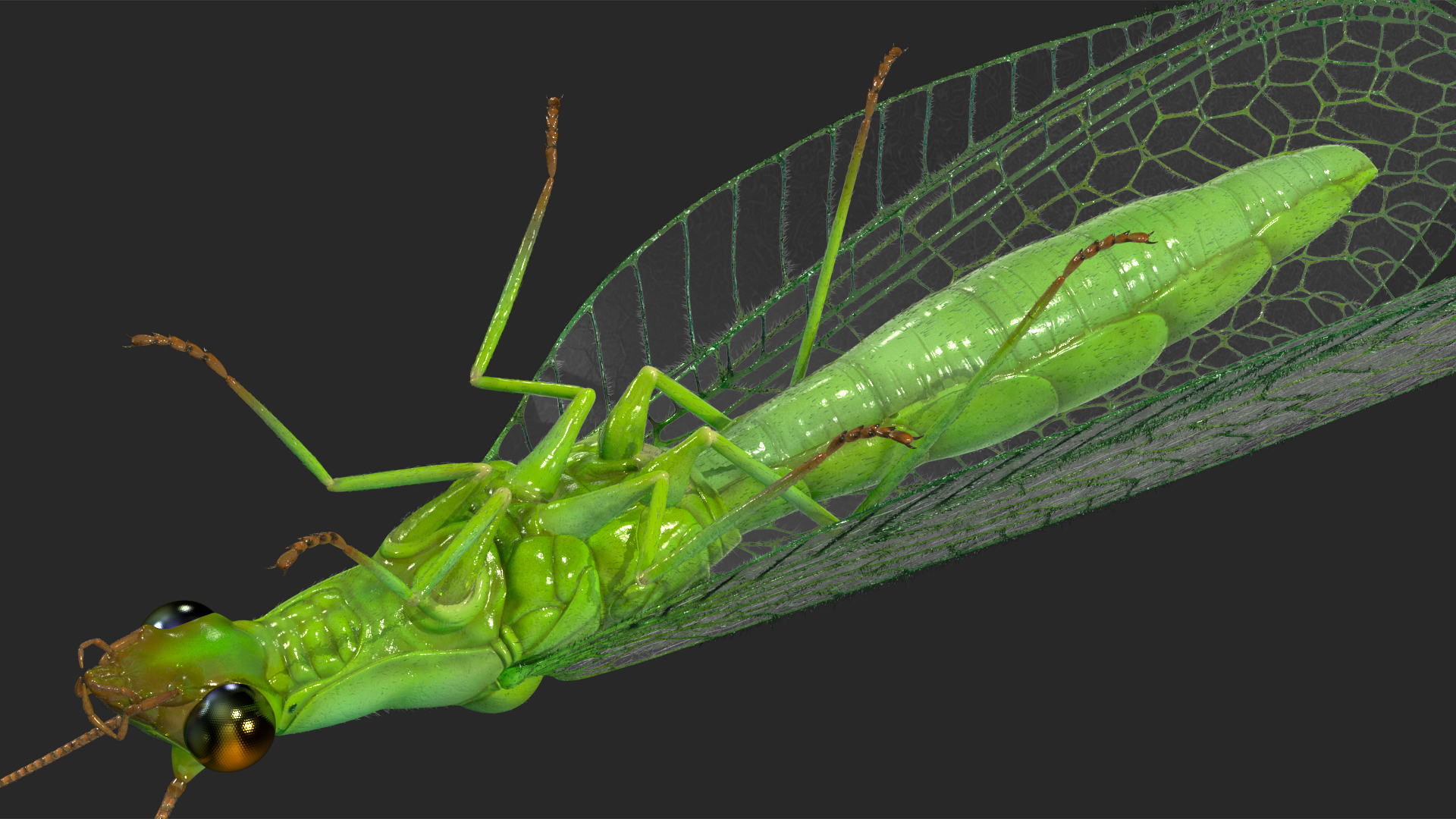 3D model Insect Green Lacewing Fur