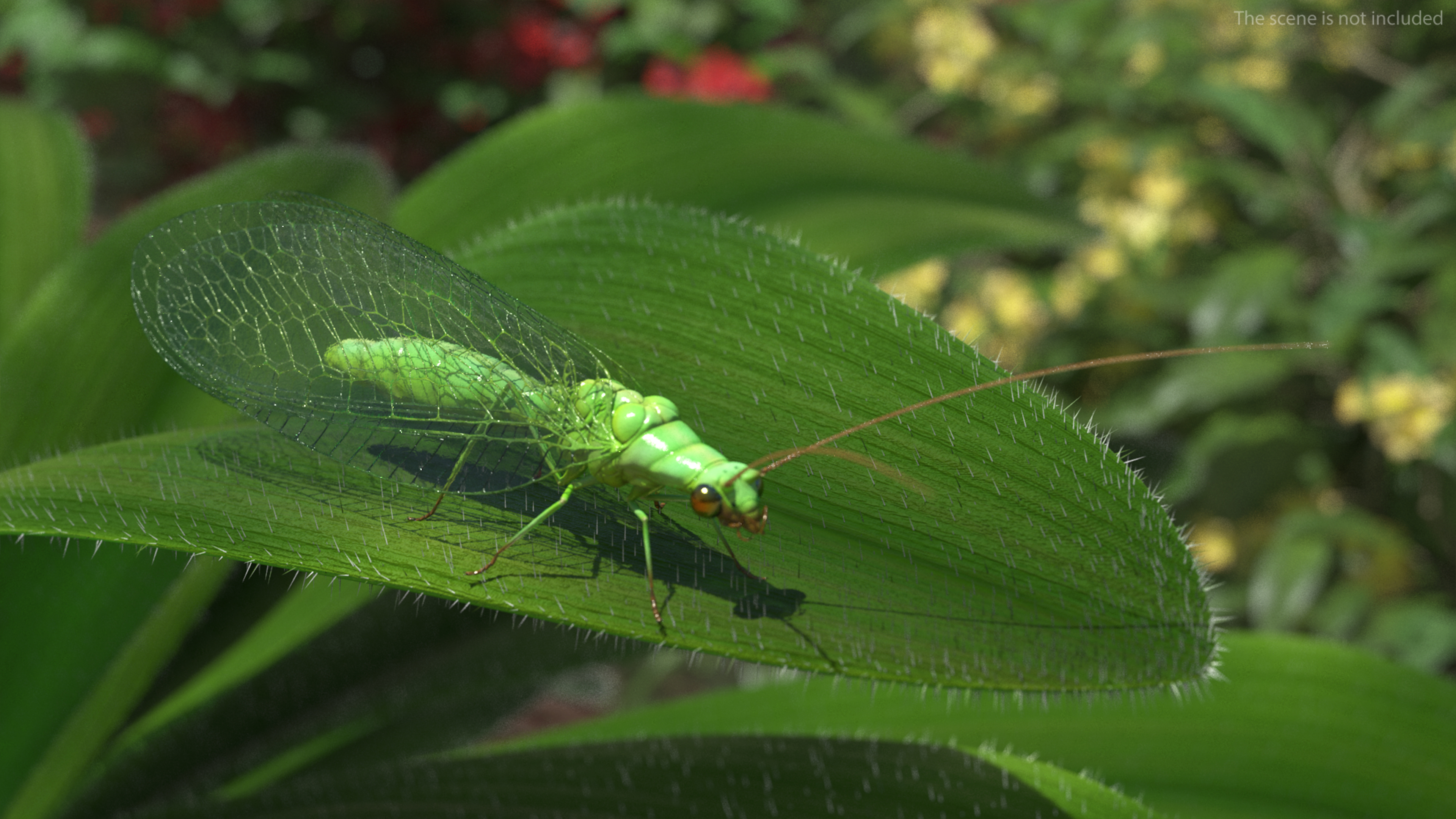 3D model Insect Green Lacewing Fur