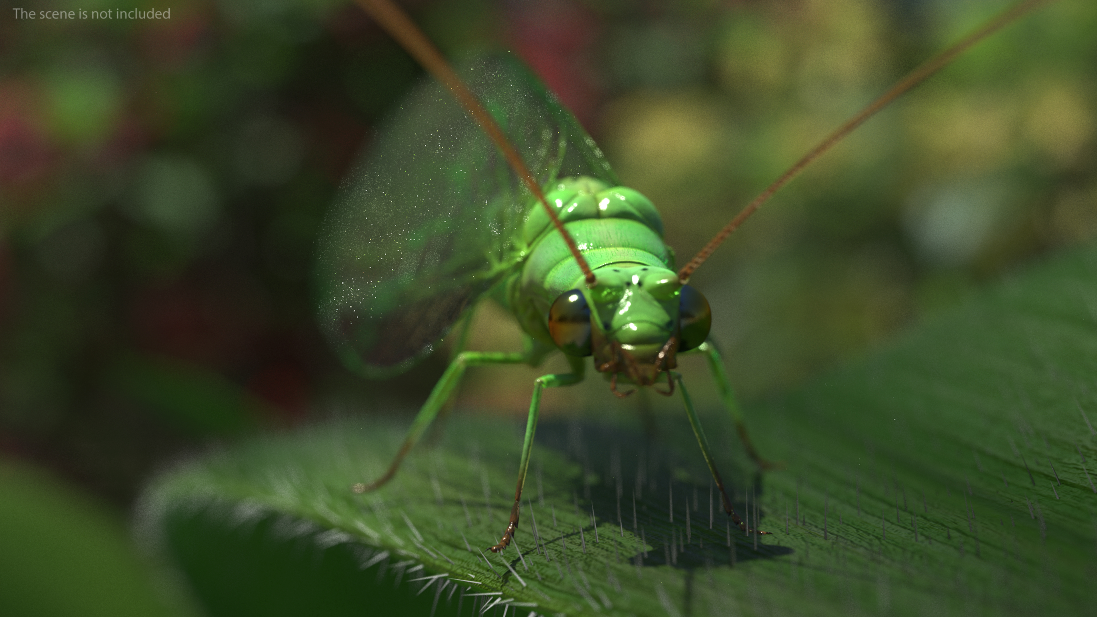 3D model Insect Green Lacewing Fur