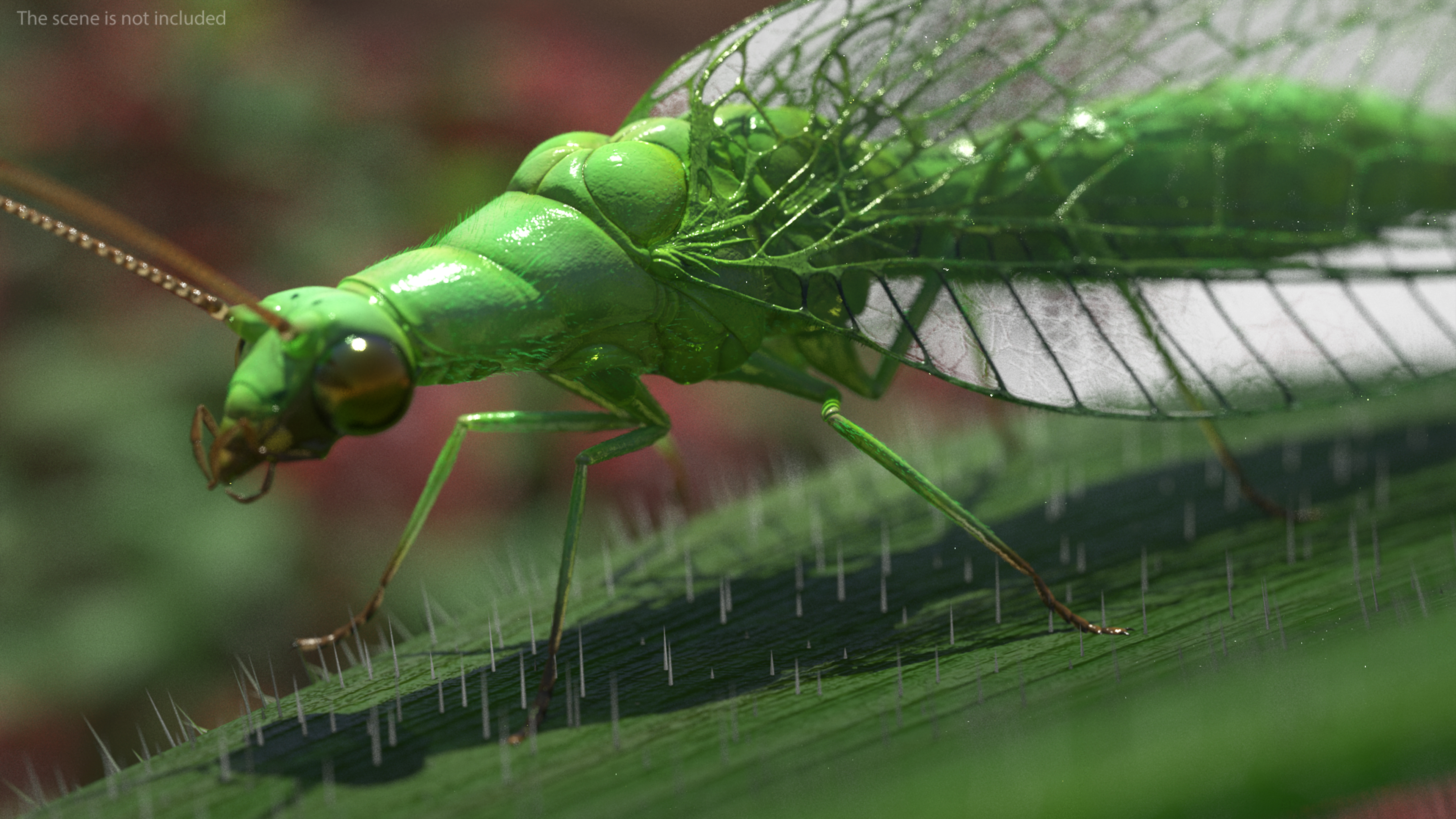 3D model Insect Green Lacewing Fur