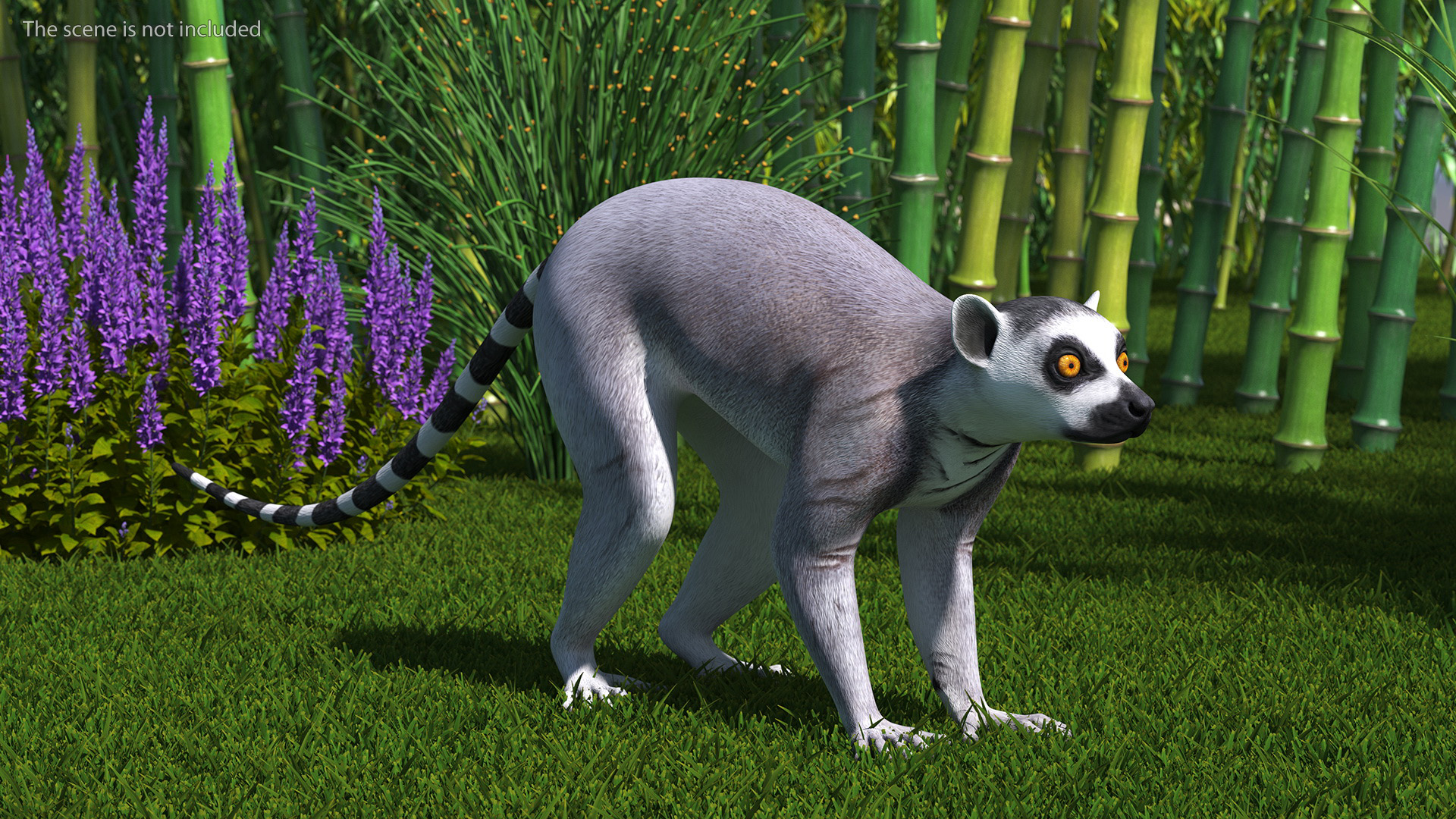 Lemur 3D model