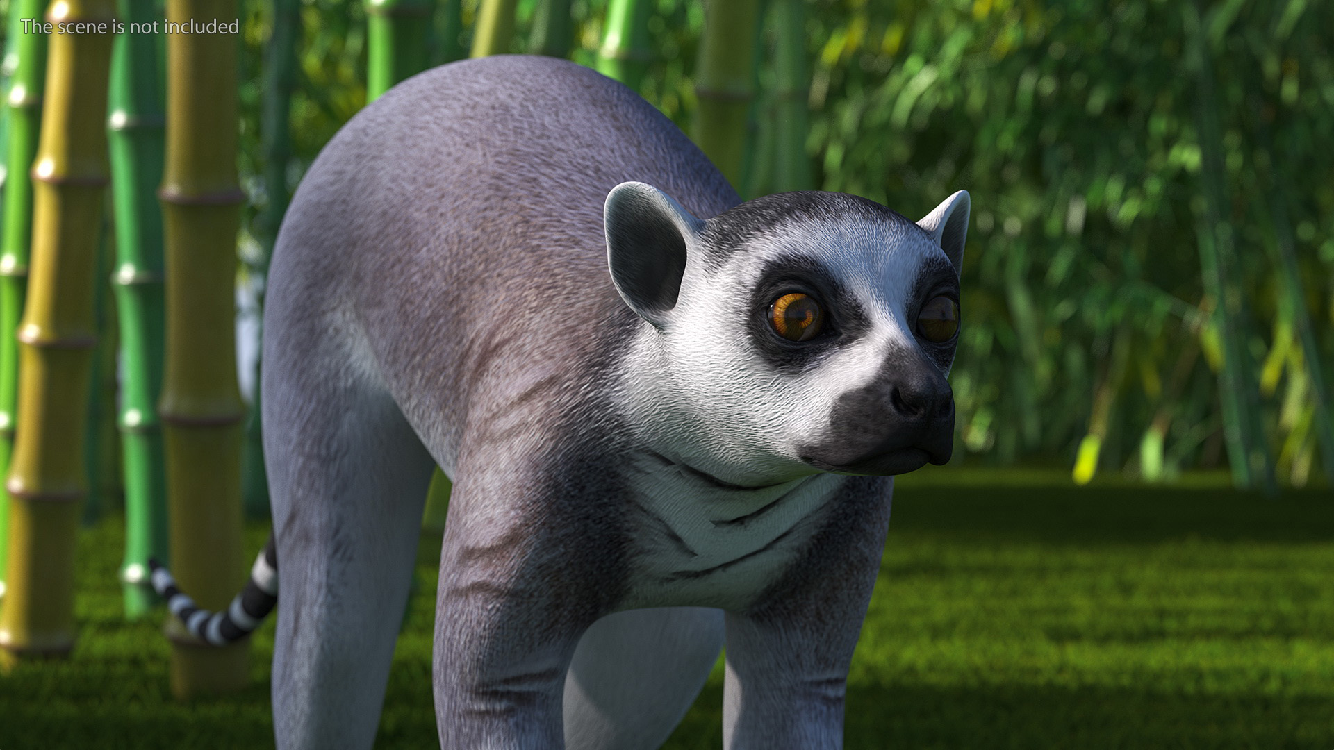 Lemur 3D model