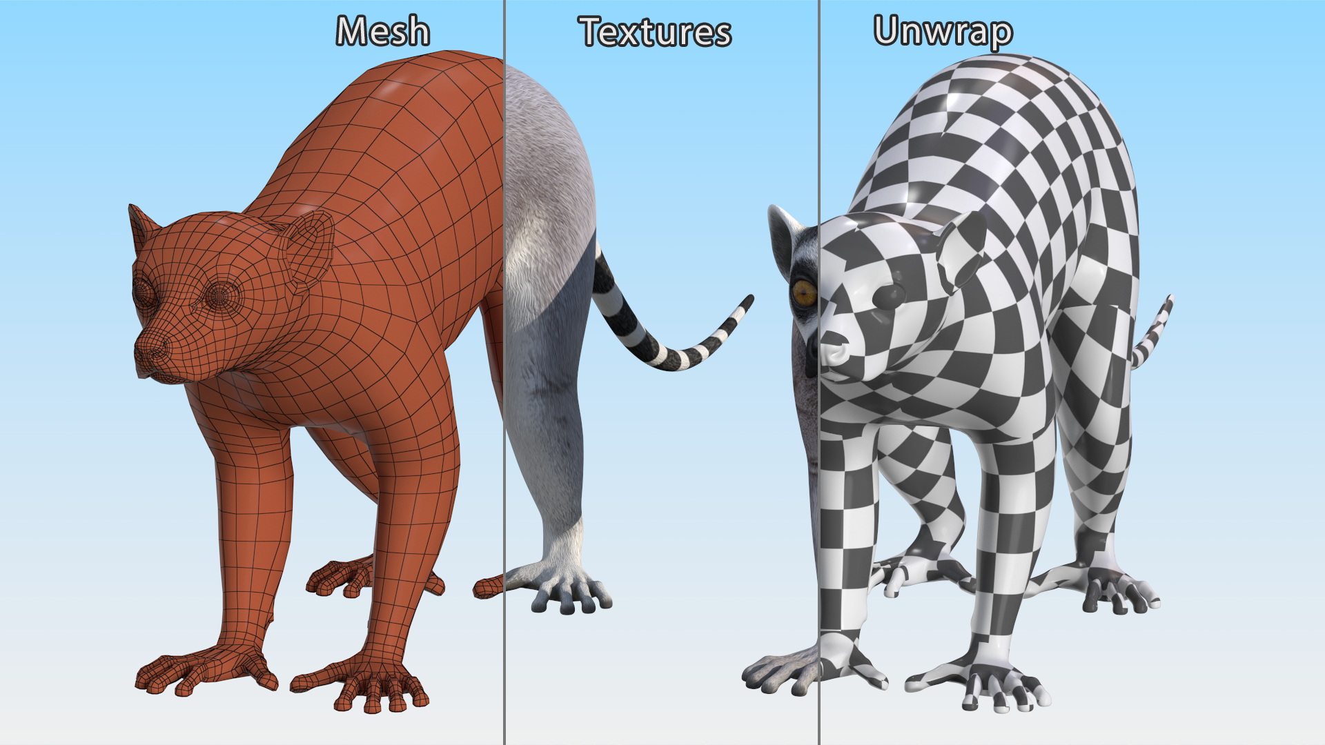 Lemur 3D model