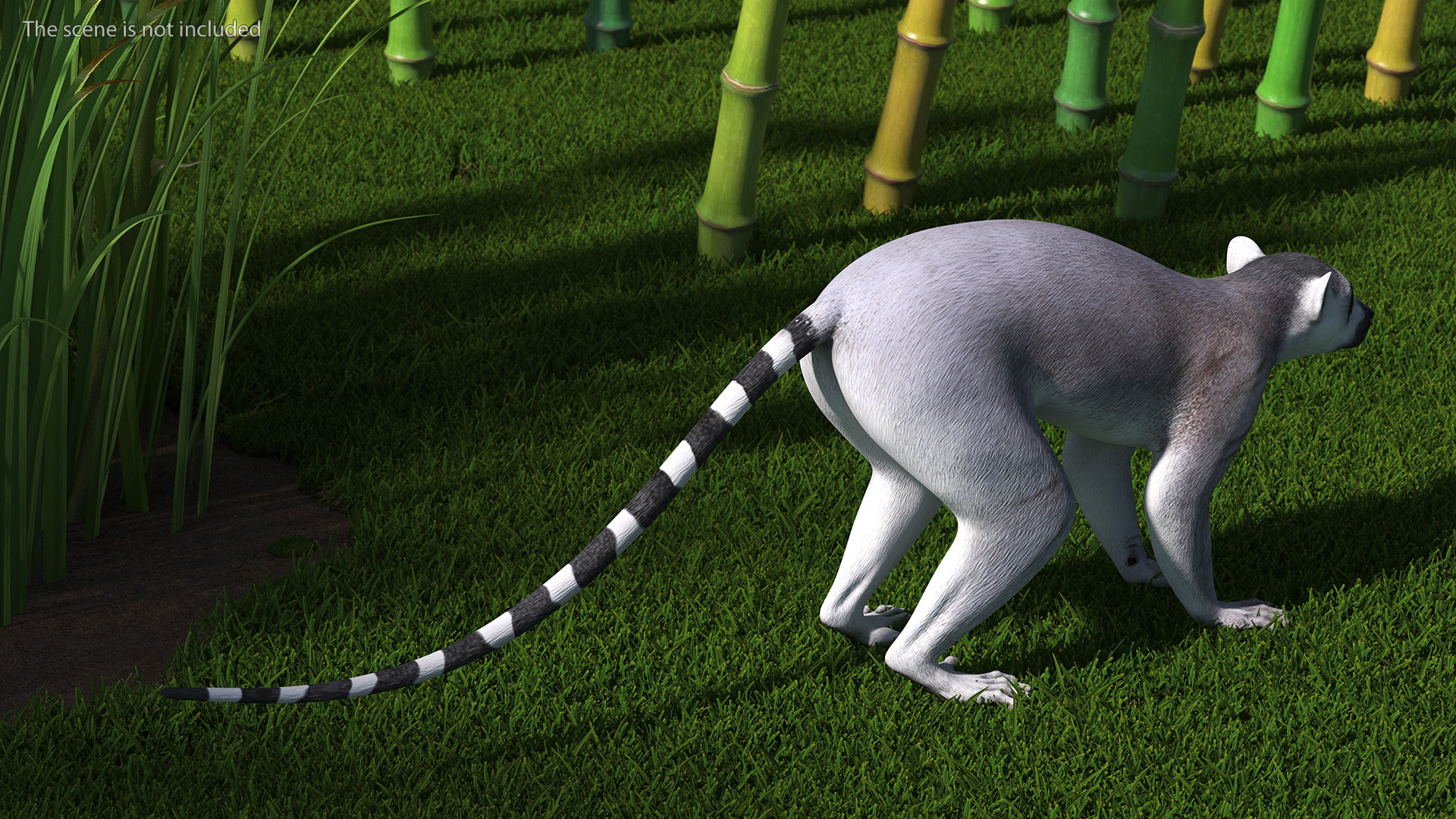 Lemur 3D model