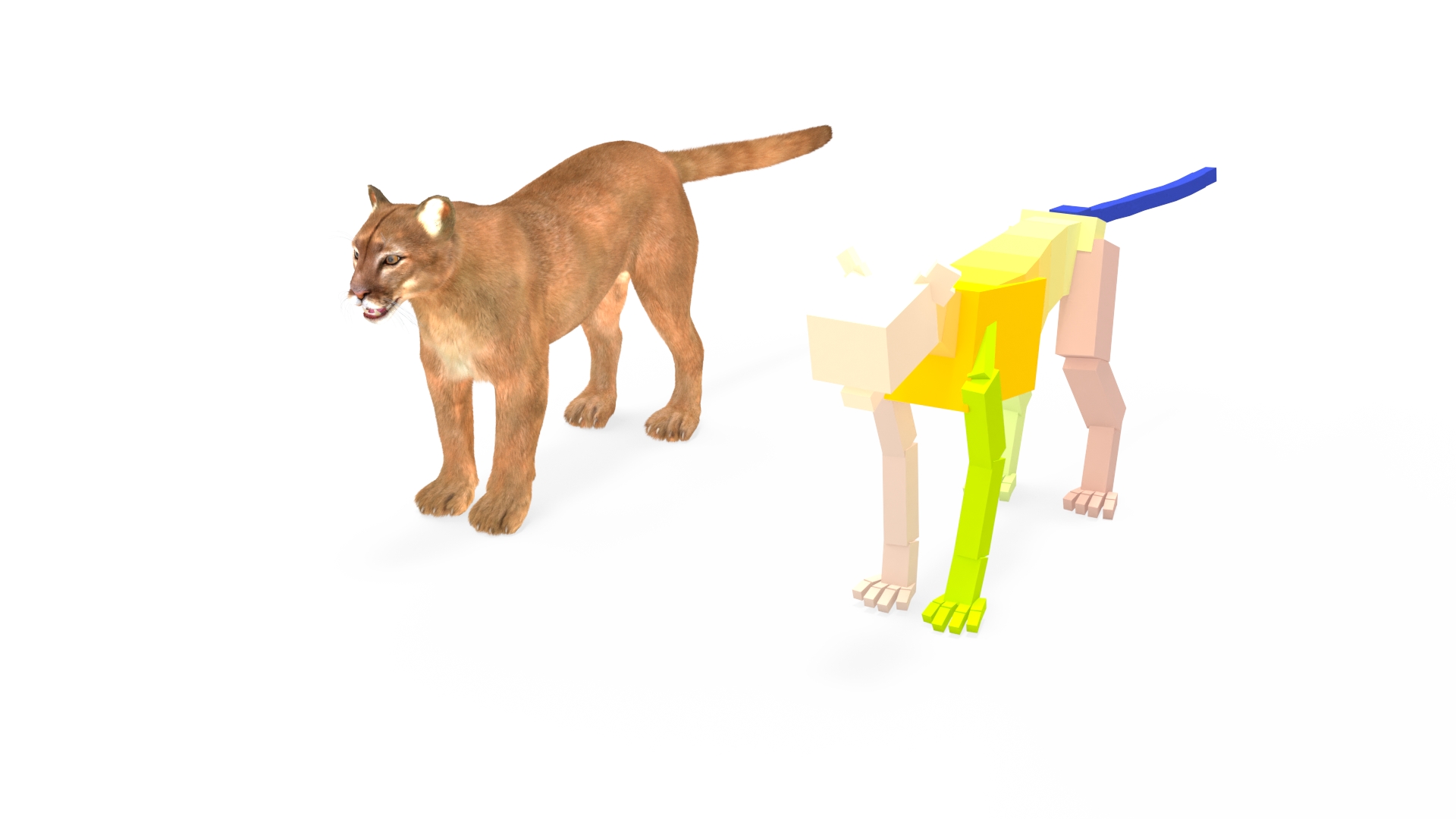 3D model Puma Fur Rigged