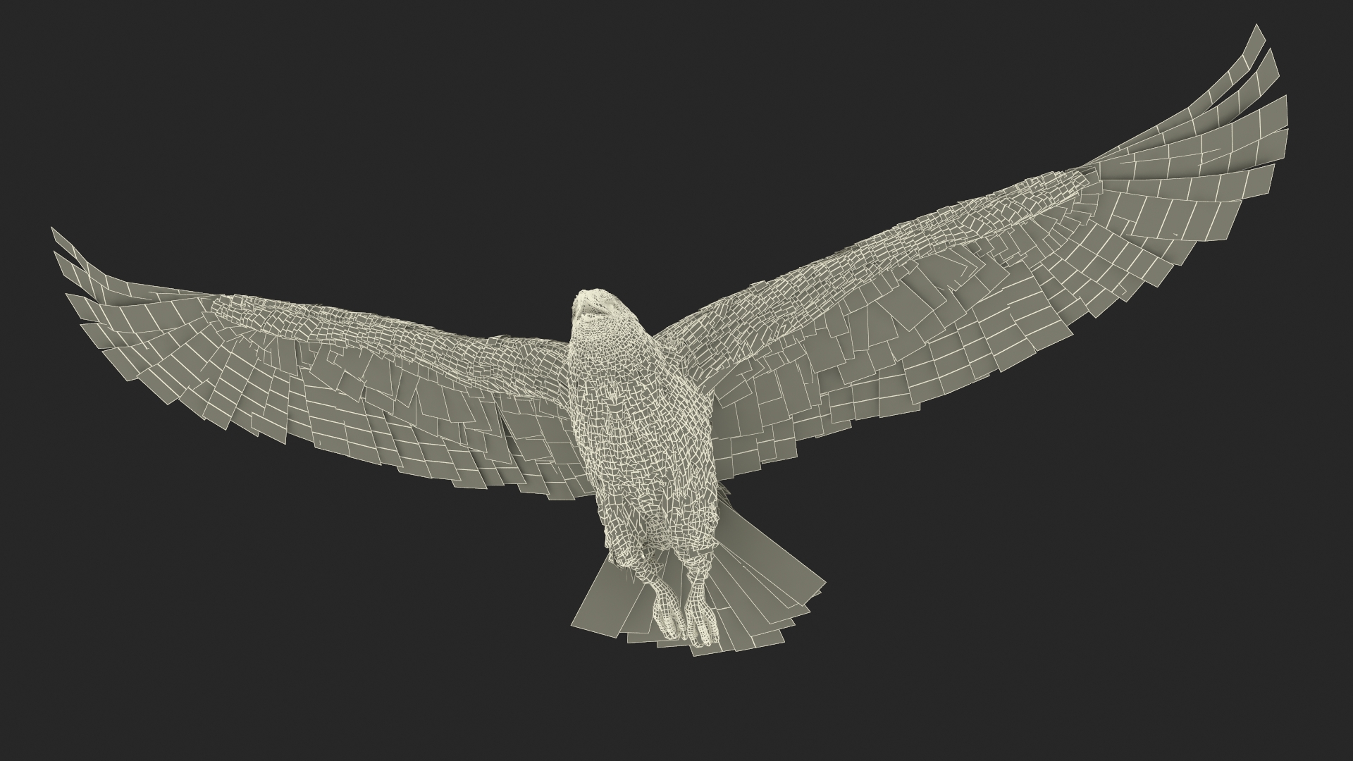 3D model Bald Eagle in Flight